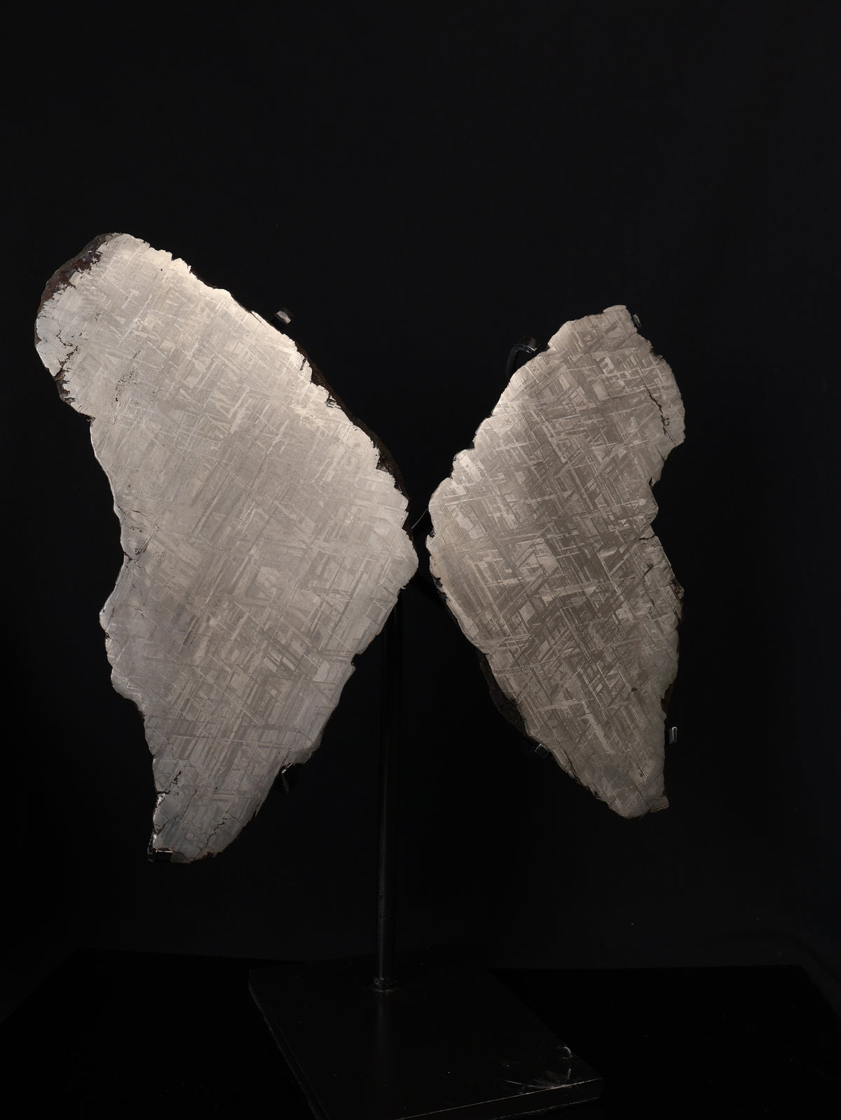 "COSMIC BUTTERFLY" MUONIONALUSTA, SWEDEN. FULL METEORITE IN TWO HALVES.
