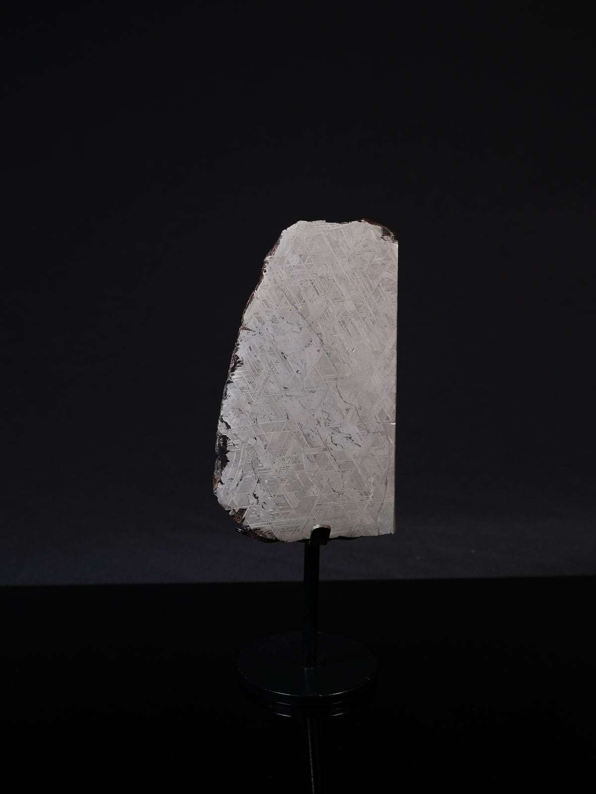 MUONIONALUSTA METEORITE, SWEDEN. 887 GRAMS END-CUT.