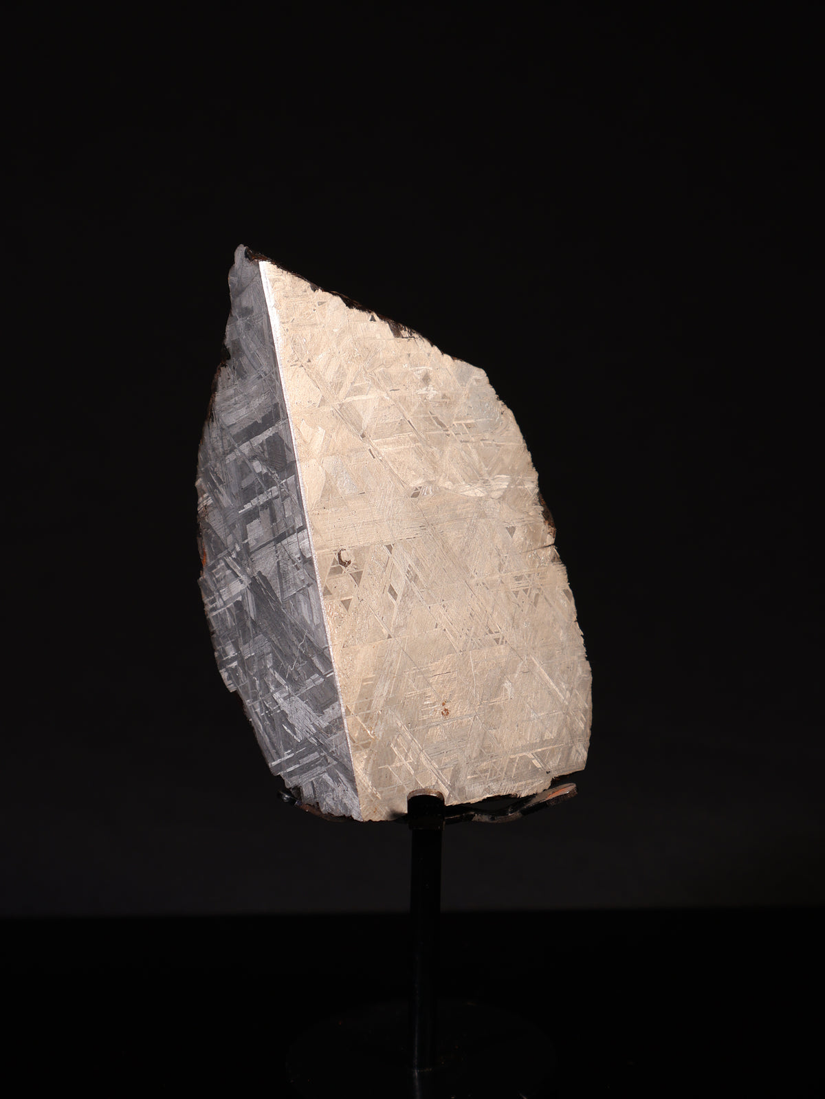 MUONIONALUSTA METEORITE, SWEDEN. 628 GRAMS END-CUT.