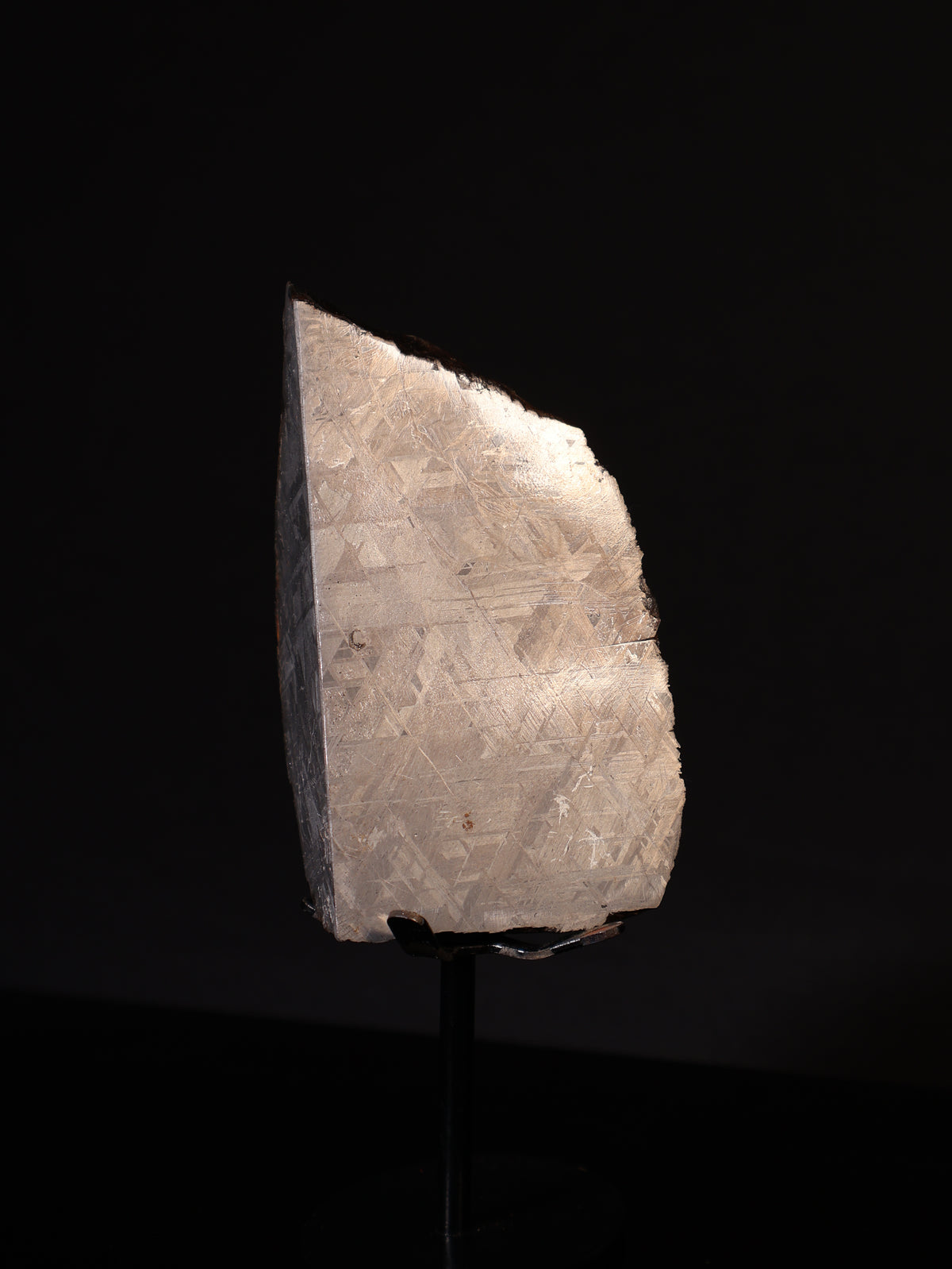 MUONIONALUSTA METEORITE, SWEDEN. 628 GRAMS END-CUT.