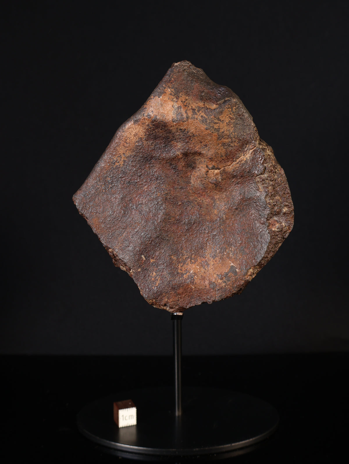Chondrite meteorite, North West Africa. 1285 grams.