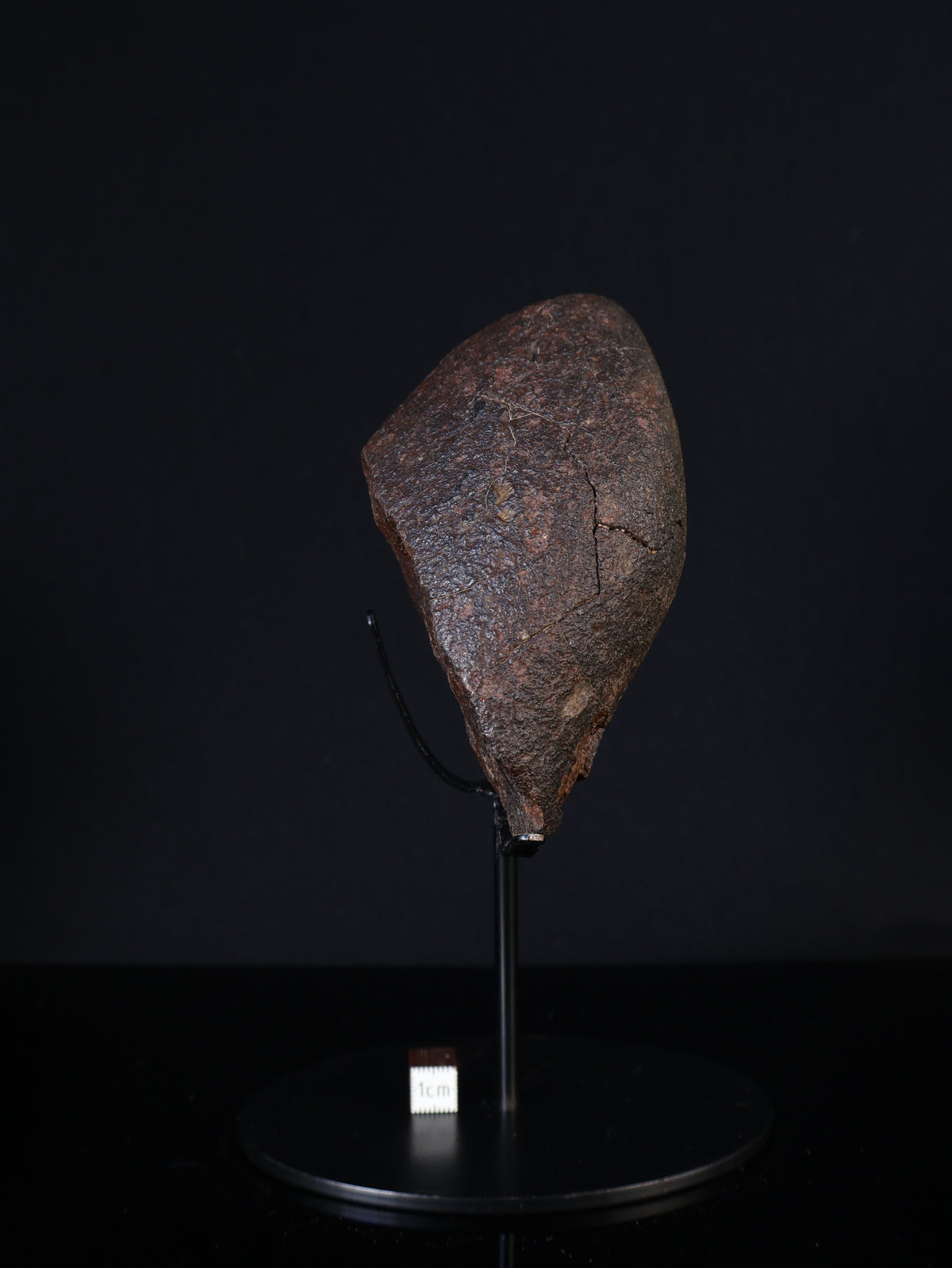 CHONDRITE METEORITE, NORTH WEST AFRICA. 421 GRAMS.