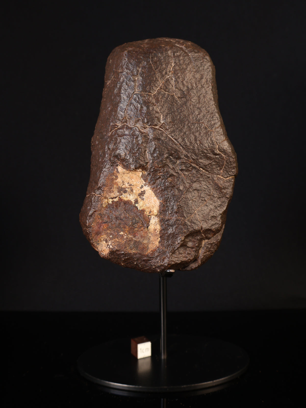Chondrite meteorite, North West Africa. 832 grams.