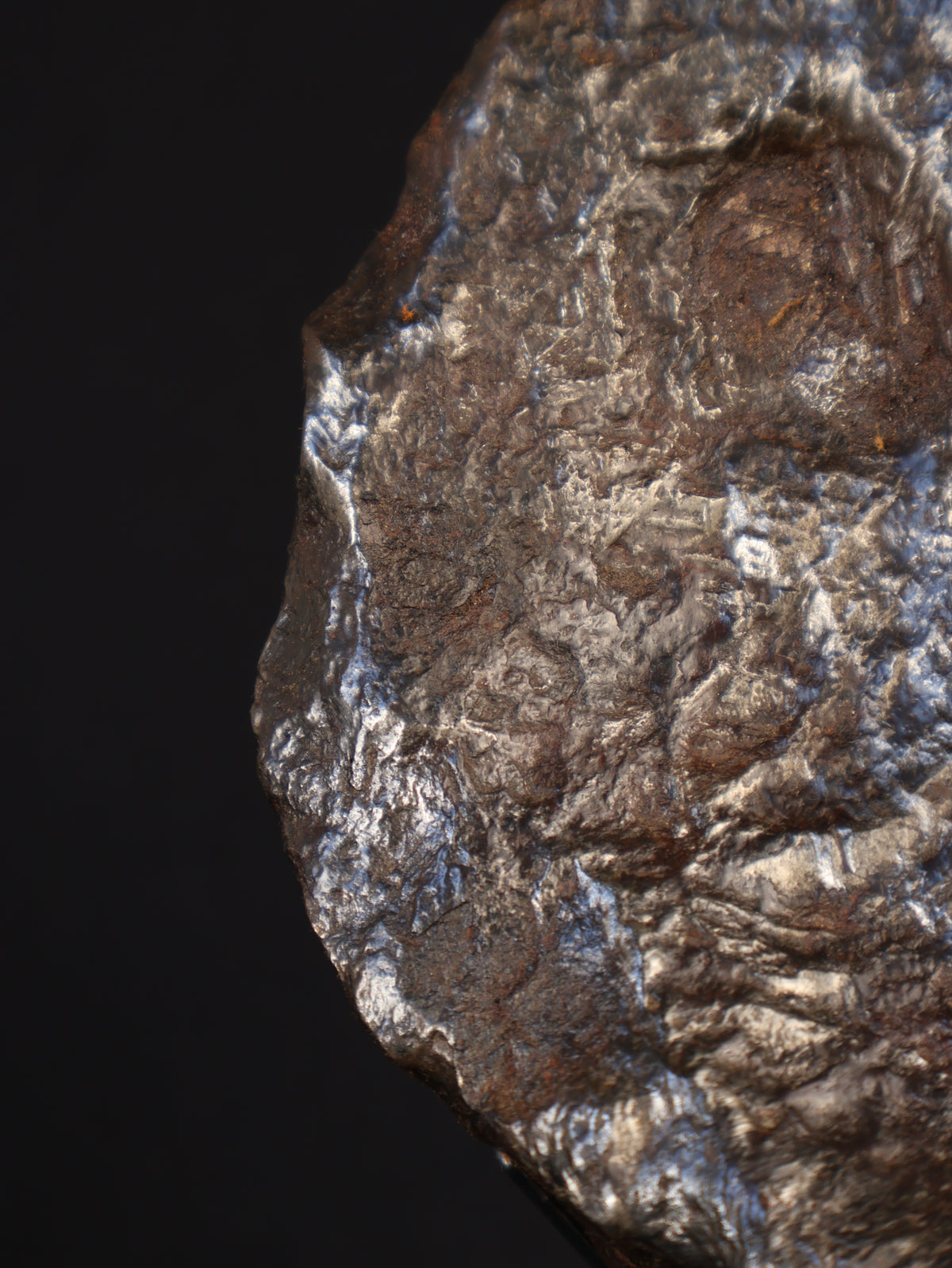 MUONIONALUSTA METEORITE, SWEDEN. FULL METEORITE 1711 grams.