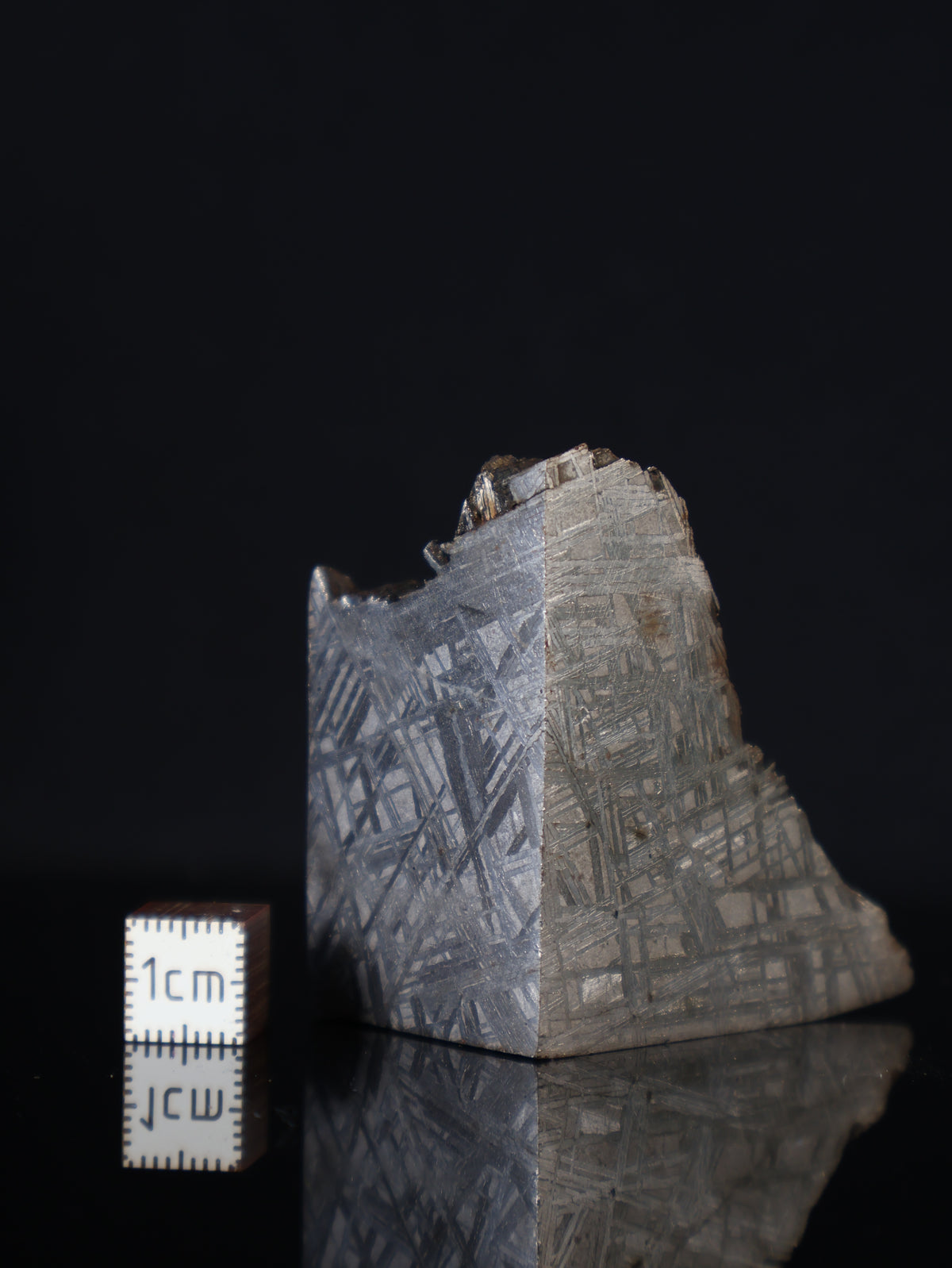 MUONIONALUSTA METEORITE, SWEDEN. 210 GRAMS END-CUT.