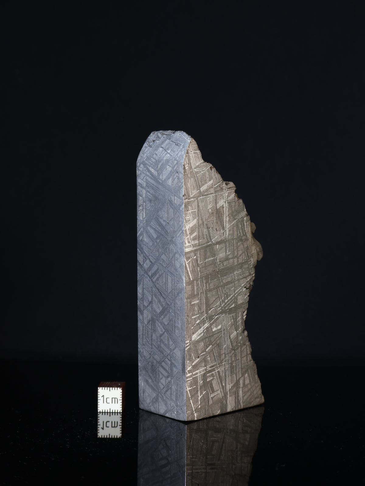 MUONIONALUSTA METEORITE, SWEDEN. 560 GRAMS END-CUT.