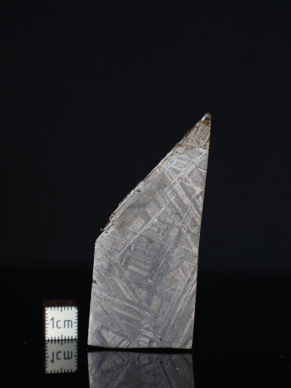 MUONIONALUSTA METEORITE, SWEDEN. 155 GRAMS END-CUT.