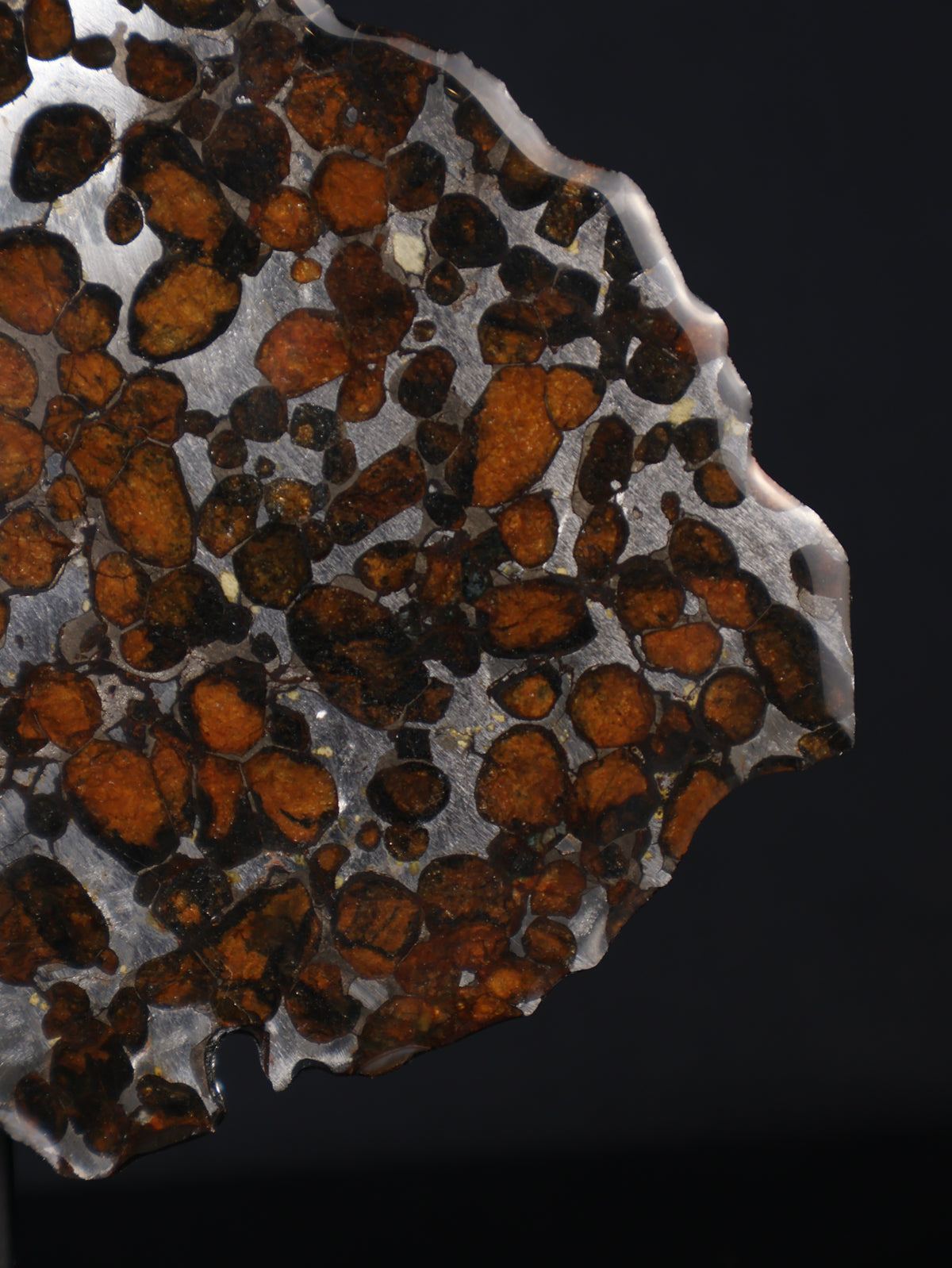 SERICHO METEORITE, KENYA. 55,5 GRAMS SLICE