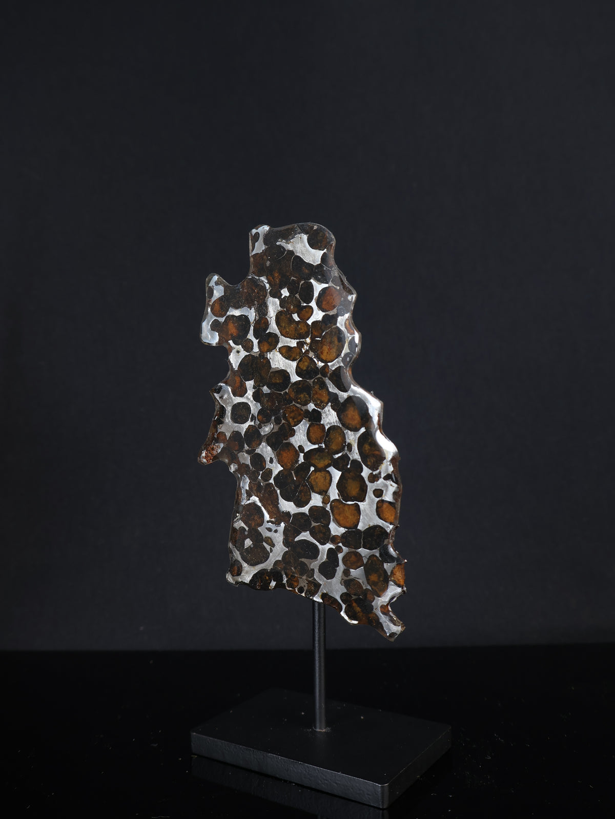 SERICHO METEORITE, KENYA. 27,6 GRAMS SLICE