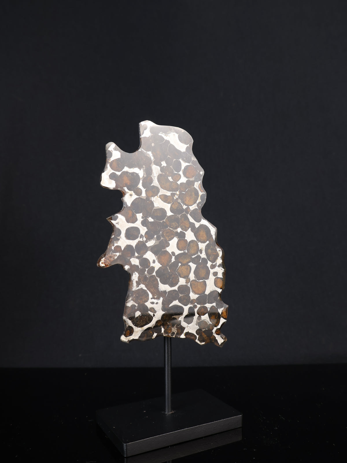 SERICHO METEORITE, KENYA. 27,6 GRAMS SLICE