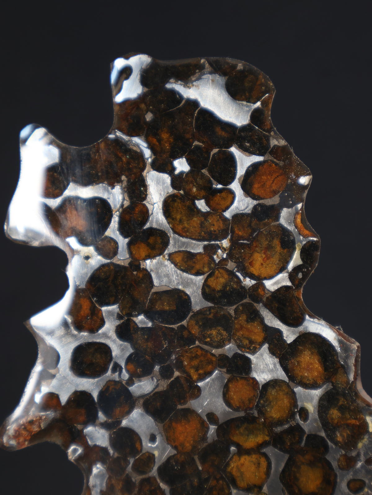 SERICHO METEORITE, KENYA. 27,6 GRAMS SLICE