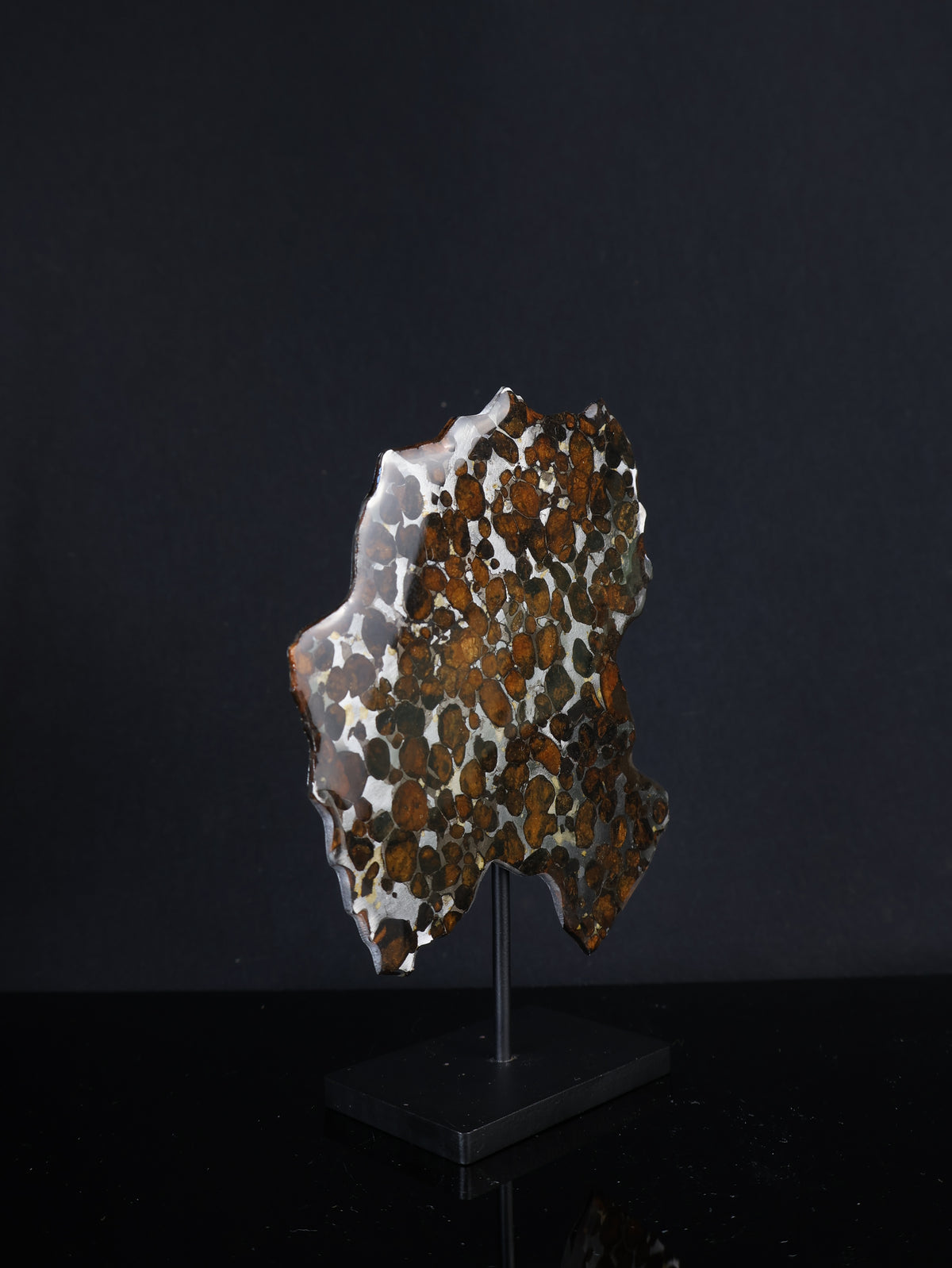 SERICHO METEORITE, KENYA. 53,5 GRAMS SLICE