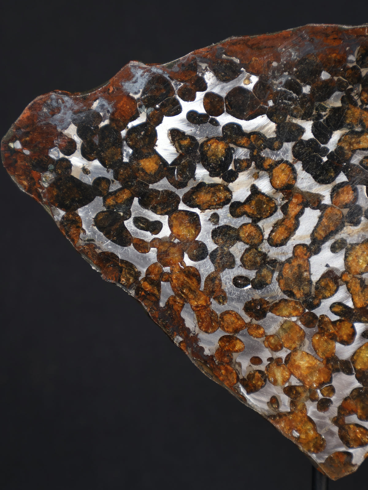 SERICHO METEORITE, KENYA. 68,7 GRAMS SLICE