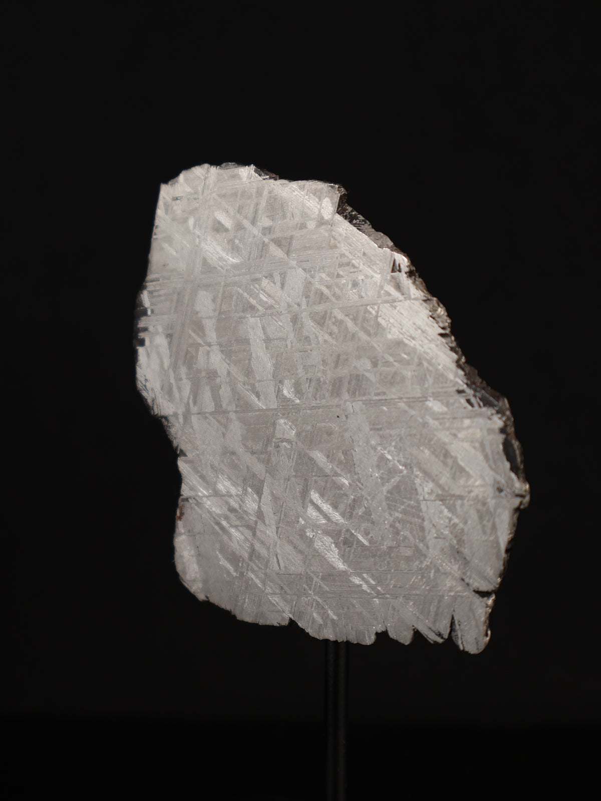 Muonionalusta meteorite, Sweden. 45,42 grams.