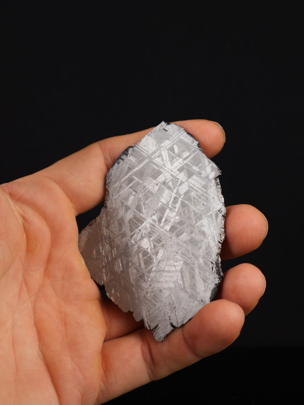 Muonionalusta meteorite, Sweden. 45,42 grams.