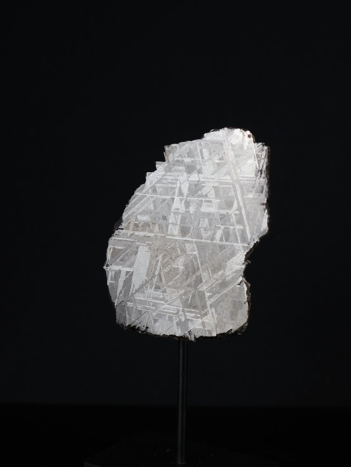 Muonionalusta meteorite, Sweden. 51,41 grams.