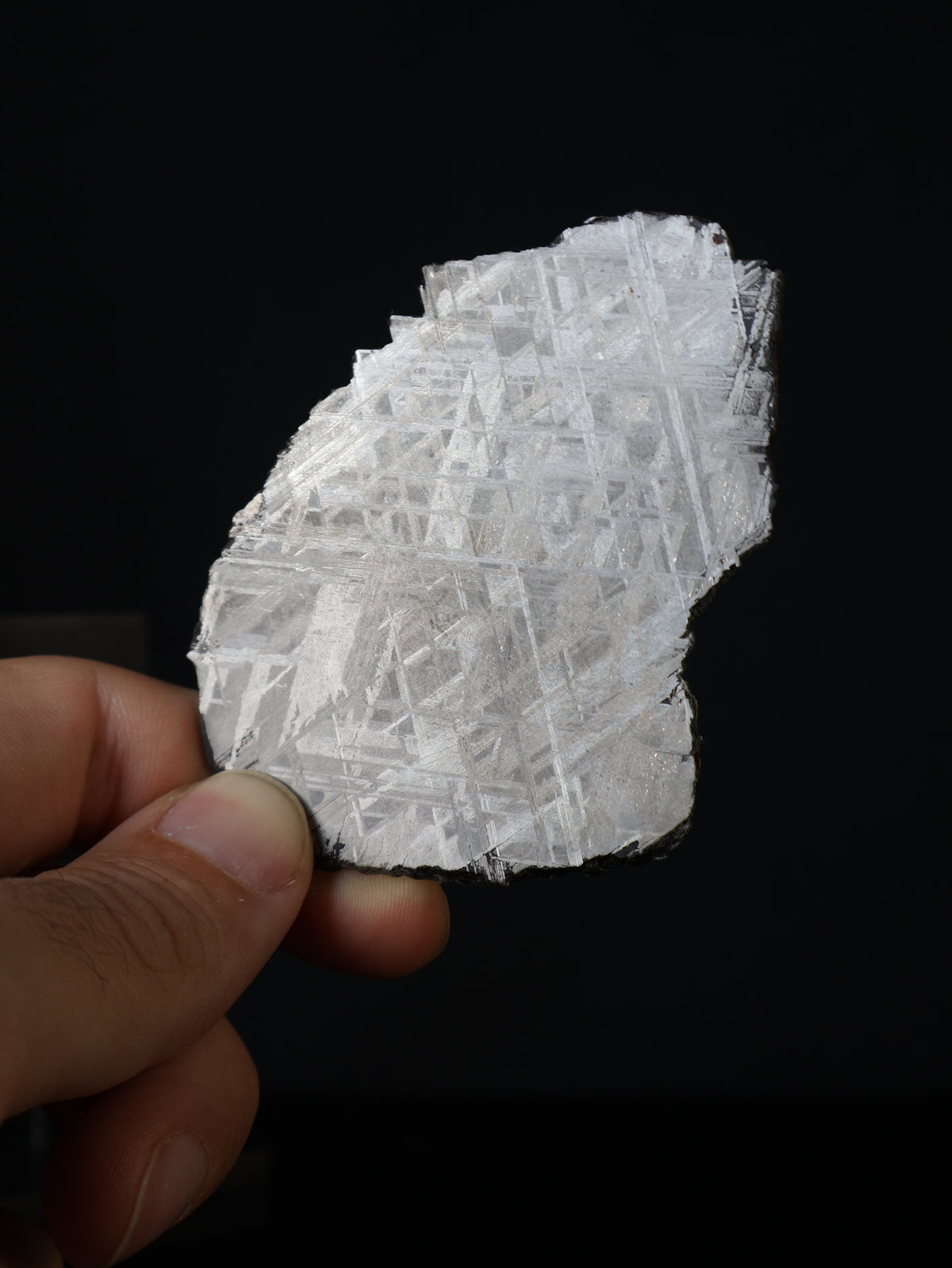 Muonionalusta meteorite, Sweden. 51,41 grams.