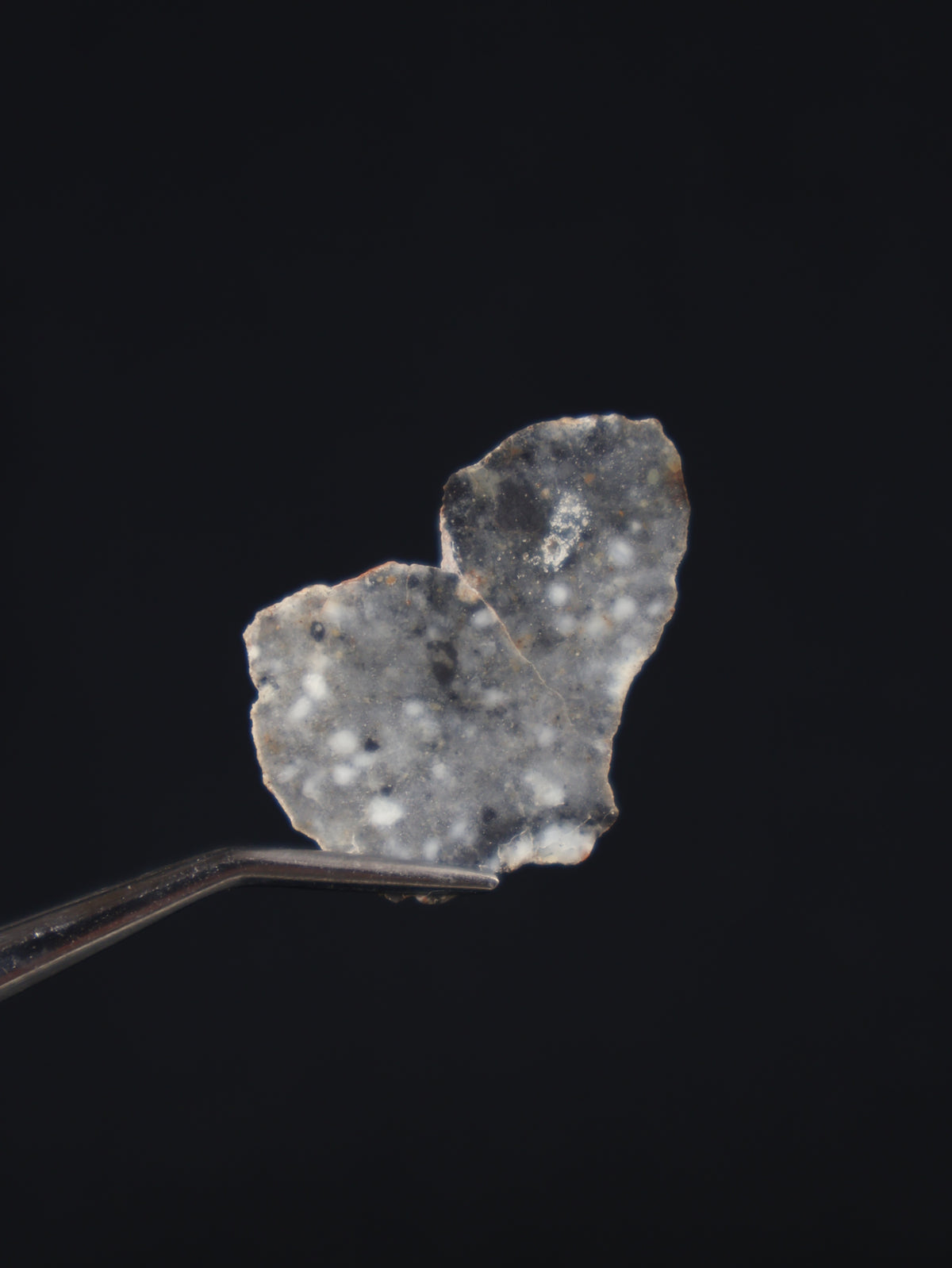 Lunar meteorite, Bechar 003, Algeria. 2,9 grams slice.
