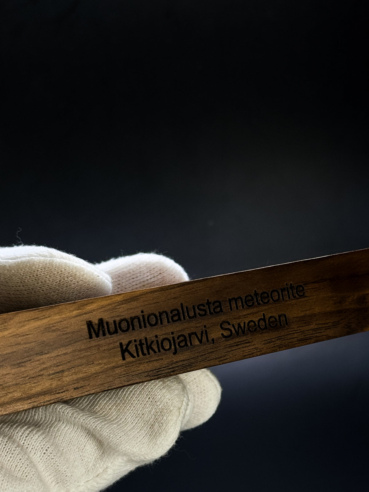 Muonionalusta meteorite PEN with Wood holder