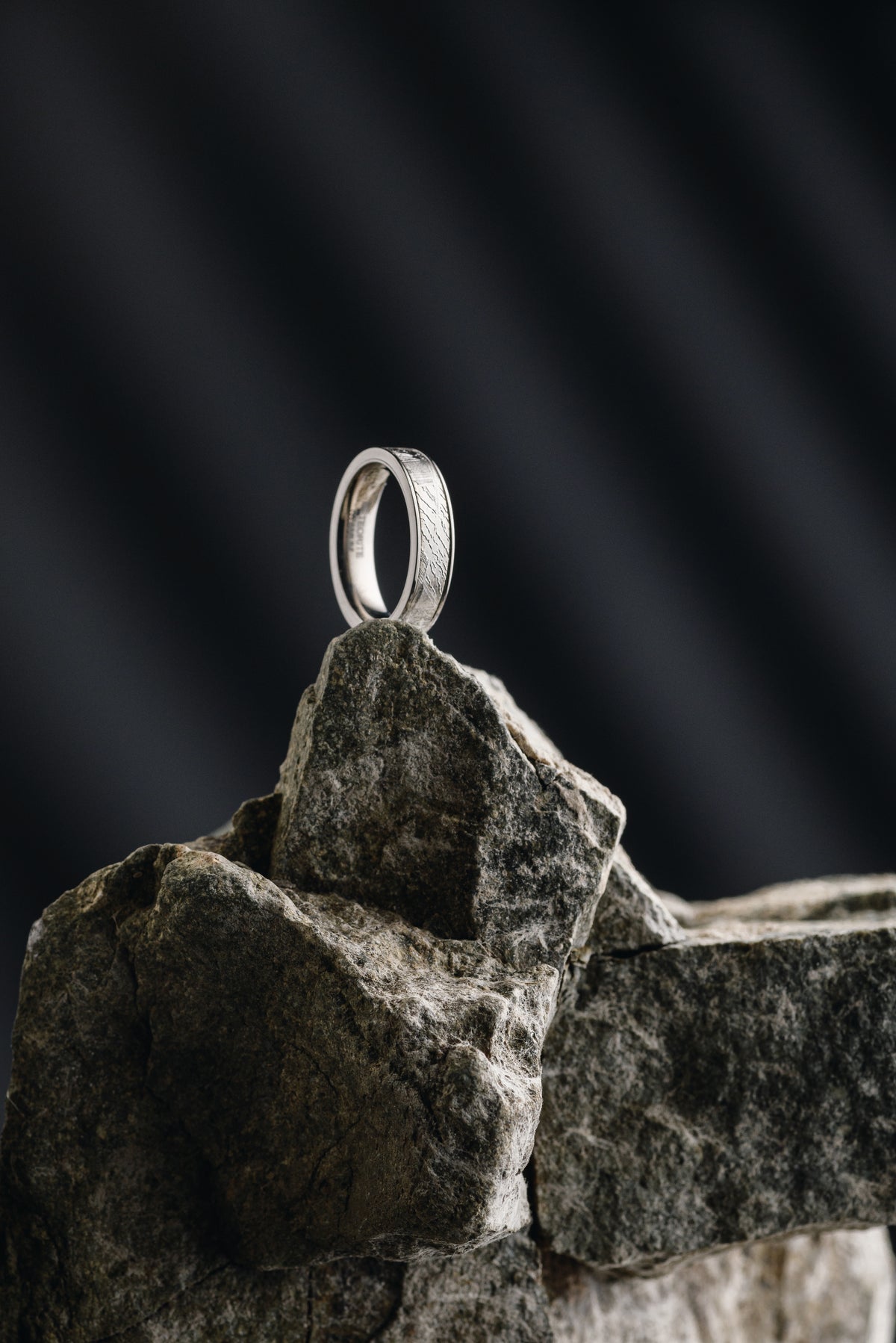 Titan Muonionalusta meteorite ring.