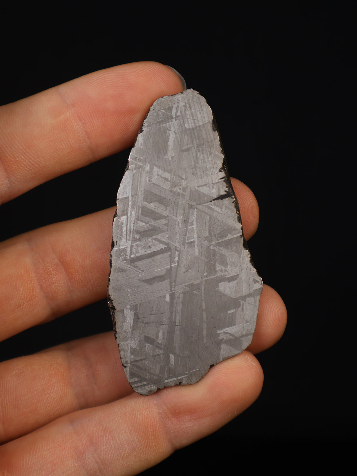 MUONIONALUSTA METEORITE, SWEDEN. 39,52 GRAMS.
