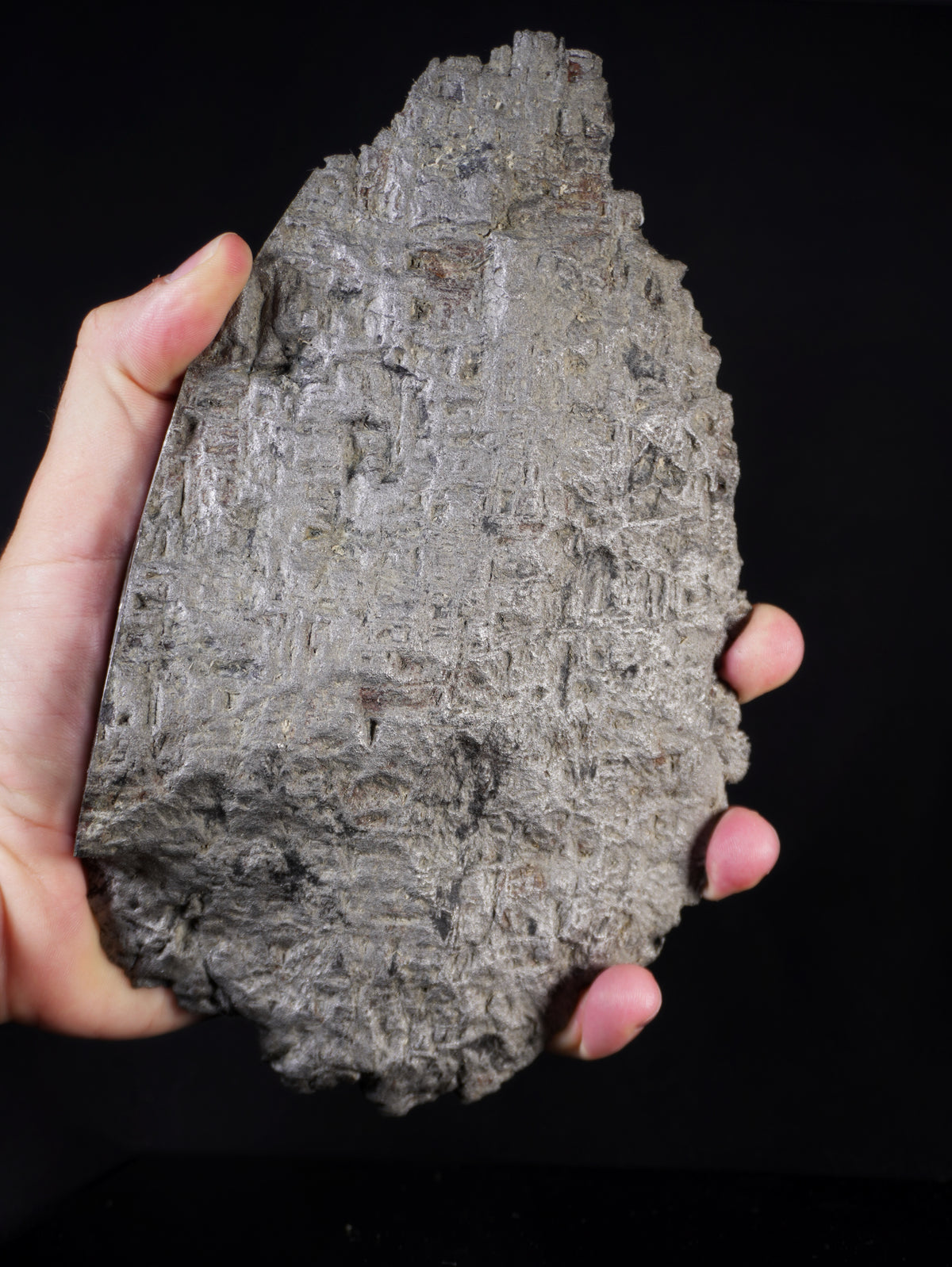 MUONIONALUSTA METEORITE, SWEDEN. 1854 GRAMS