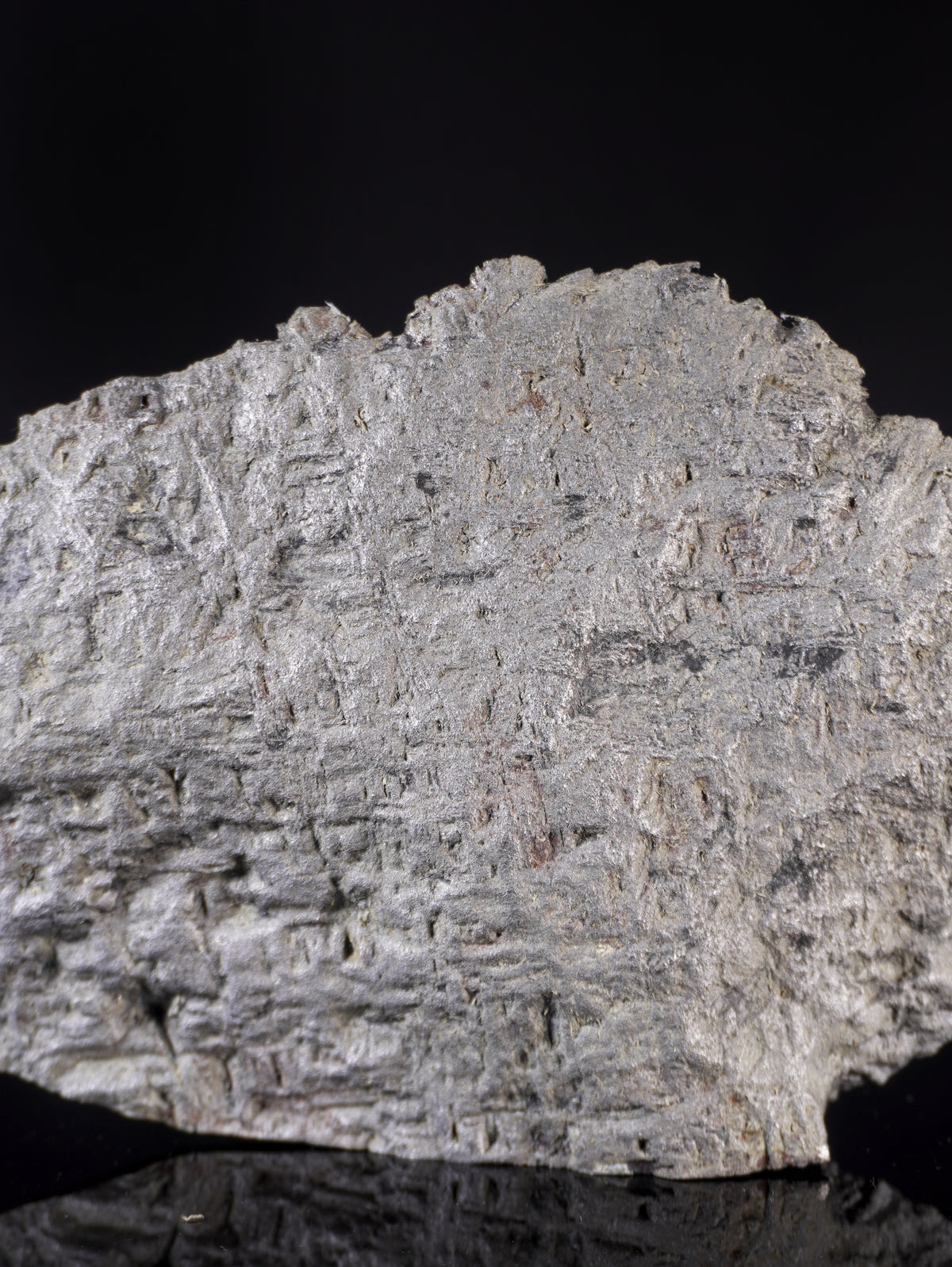 MUONIONALUSTA METEORITE, SWEDEN. 1854 GRAMS