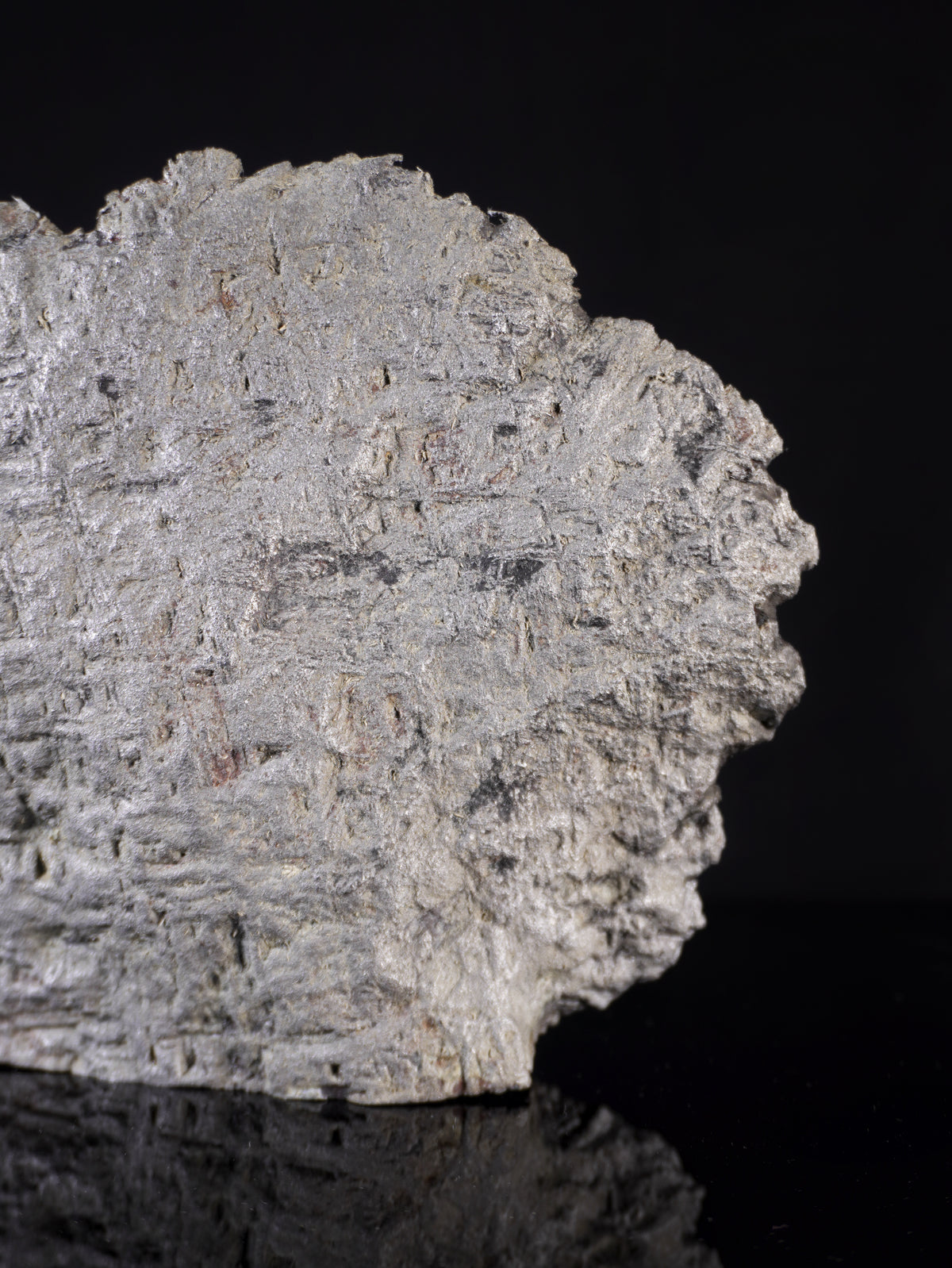MUONIONALUSTA METEORITE, SWEDEN. 1854 GRAMS