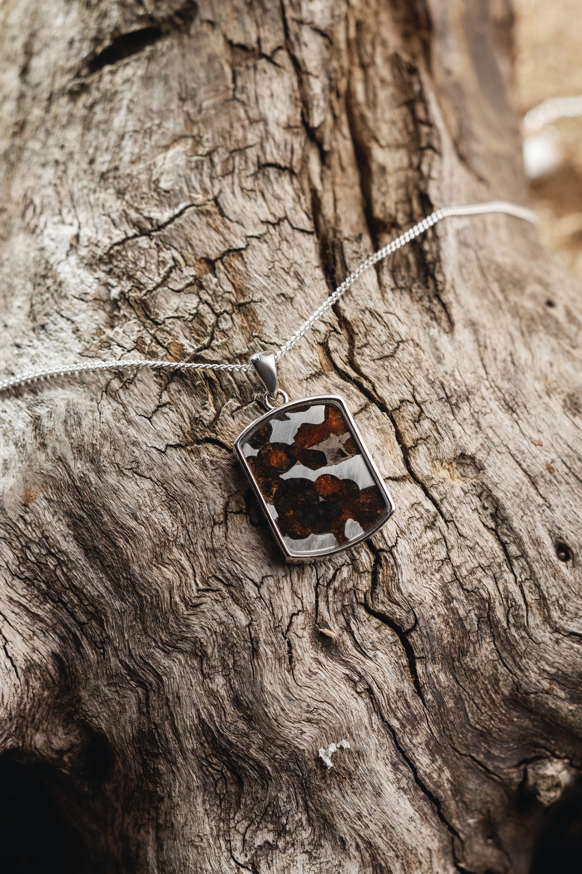 Pallasite Dogtag pendant of Sericho Meteorite