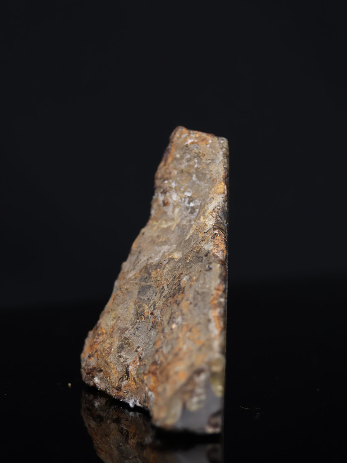 Seymchan meteorite, Russia. 31,3 grams end-cut.