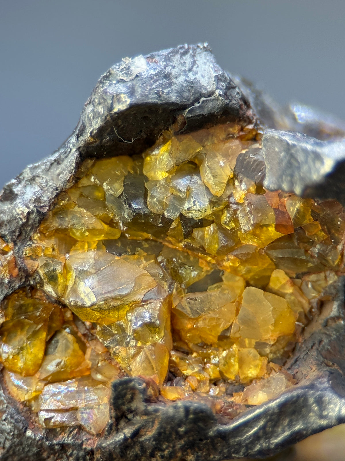 IMILAC PALLASITE METEORITE, END CUT, CHILE. 44,7 GRAMS.