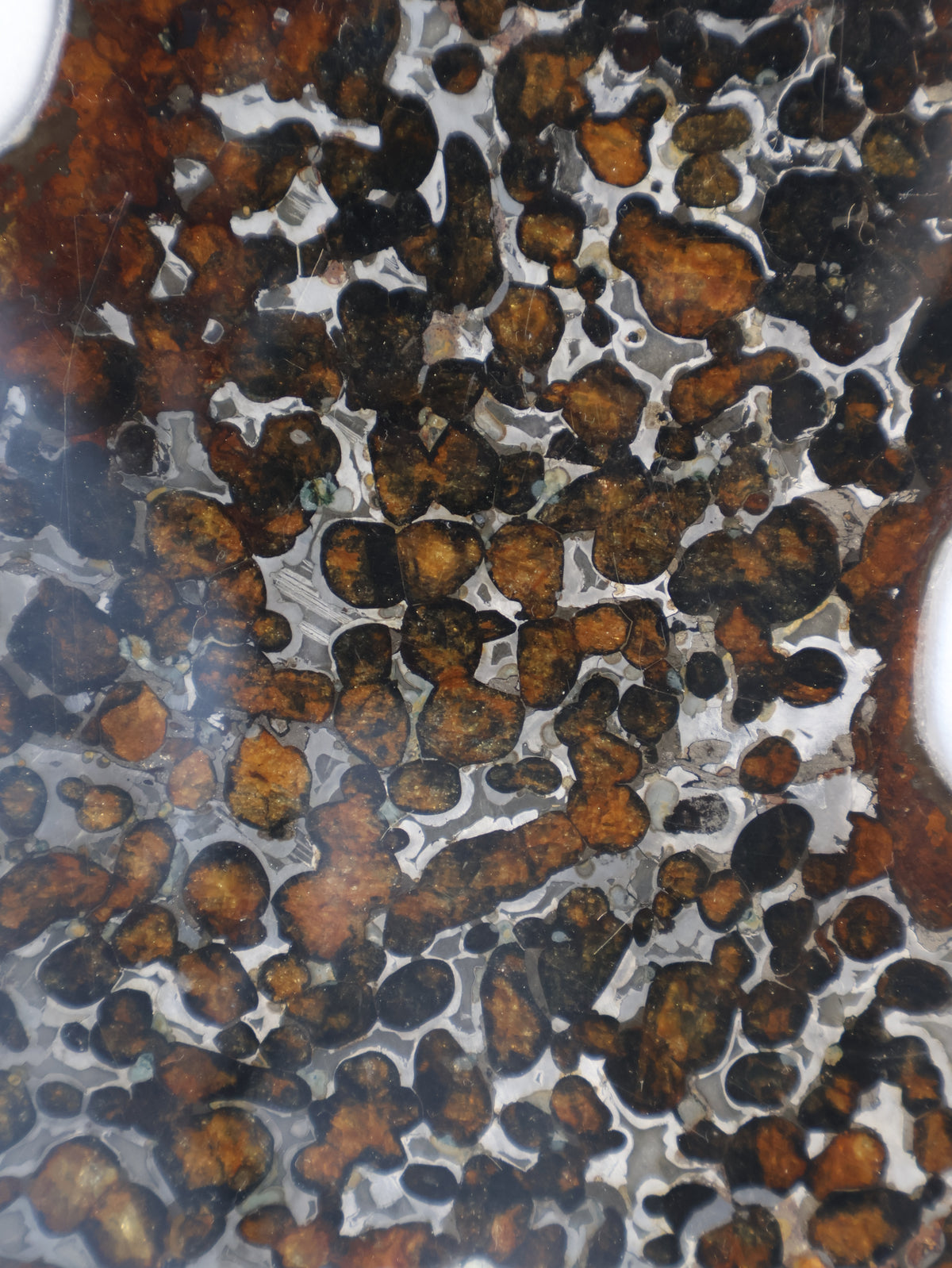 SERICHO METEORITE, KENYA. 74,82 GRAMS SLICE