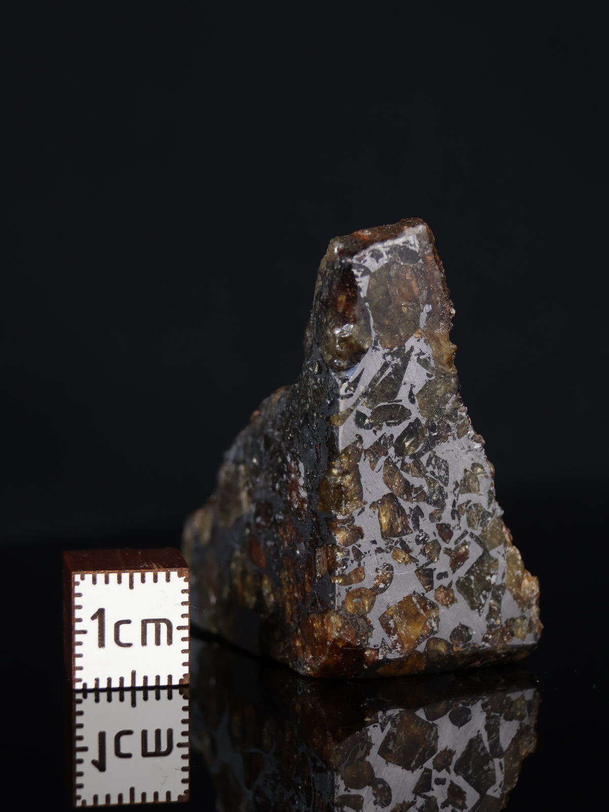 Seymchan meteorite, Russia. 31,3 grams end-cut.