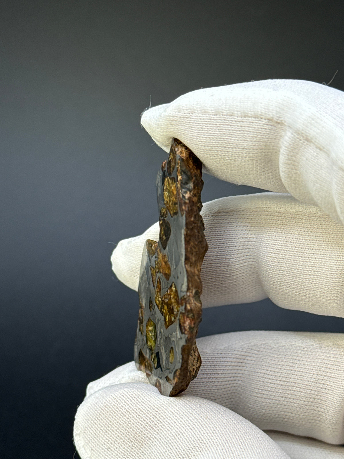 IMILAC PALLASITE METEORITE, END CUT, CHILE. 22,62 GRAMS.