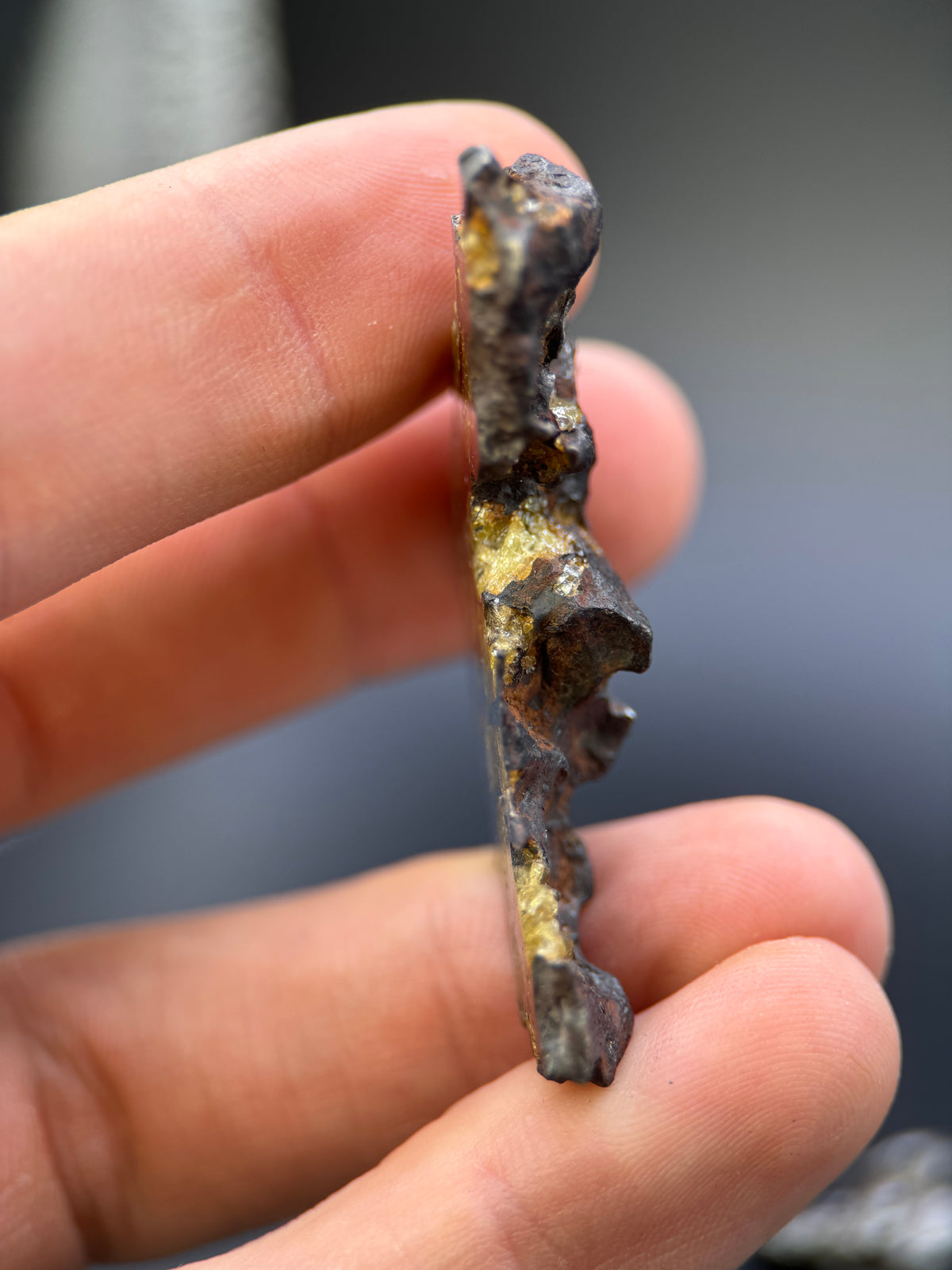 IMILAC PALLASITE METEORITE, END CUT, CHILE. 25,2 GRAMS.