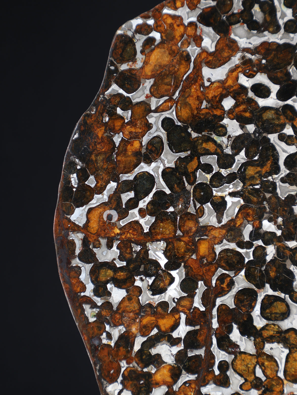 SERICHO METEORITE, KENYA. 97 GRAMS SLICE