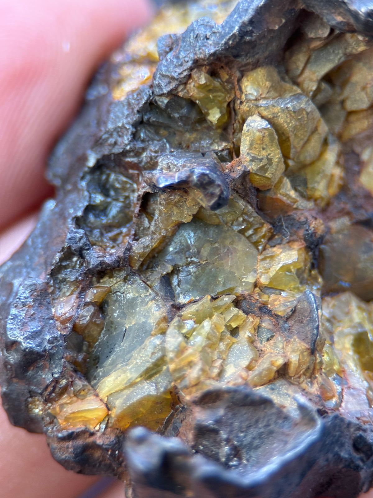 IMILAC PALLASITE METEORITE, END CUT, CHILE. 44,7 GRAMS.
