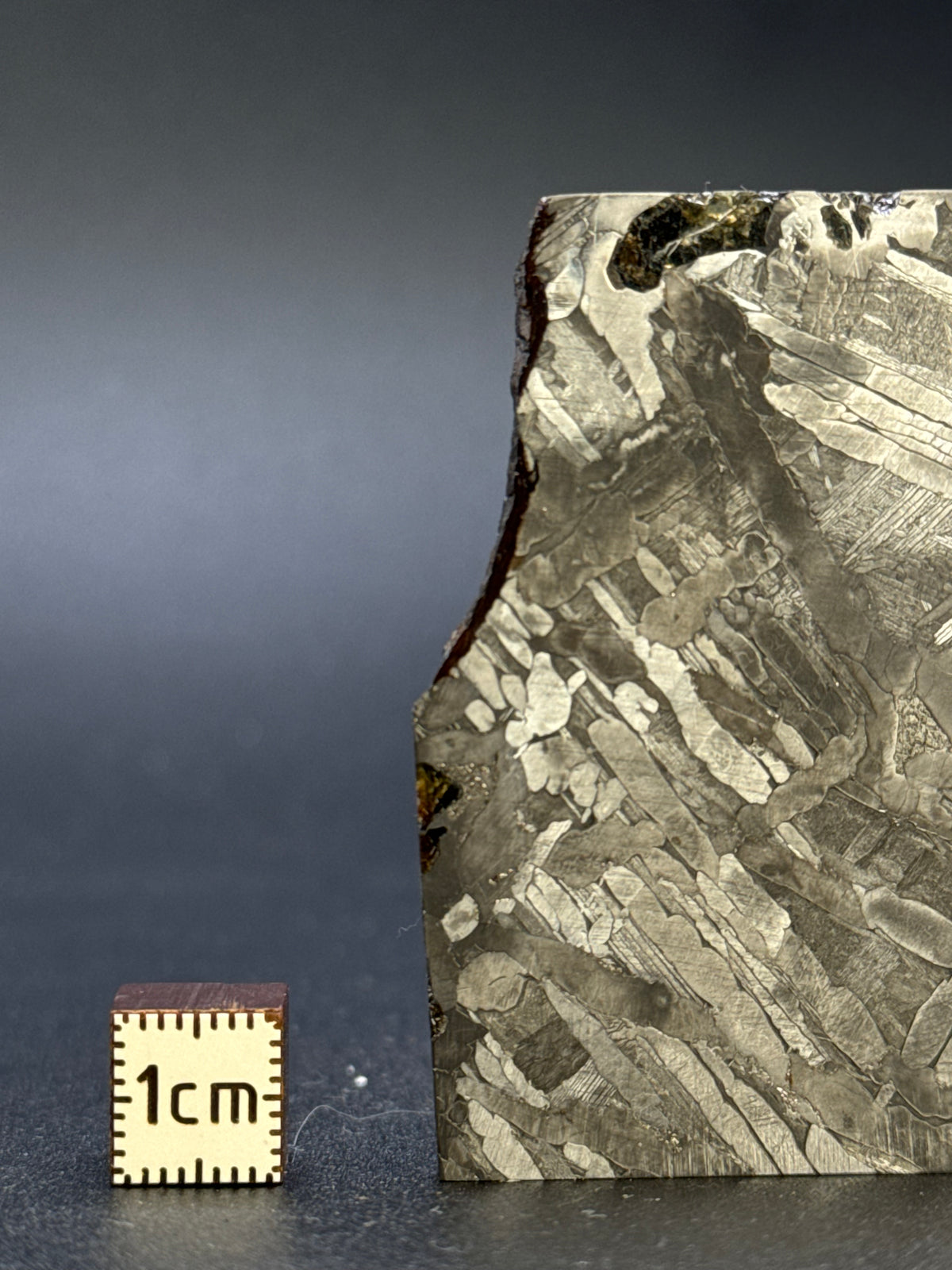 SEYMCHAN METEORITE, MAGADAN REGION, RUSSIA. 37,3 GRAMS.
