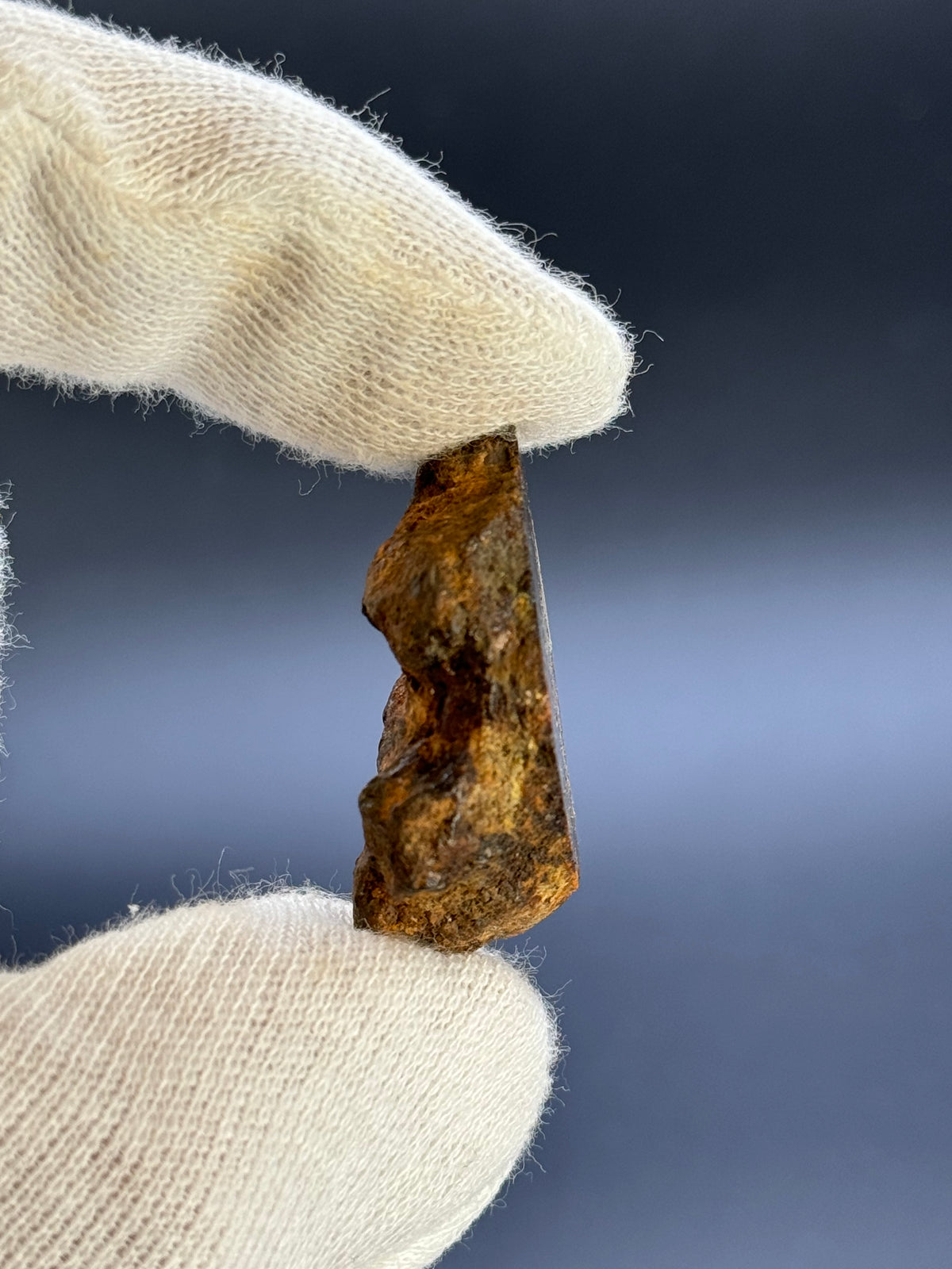 SERICHO PALLASITE METEORITE, KENYA. 24,24 GRAMS END-CUT.