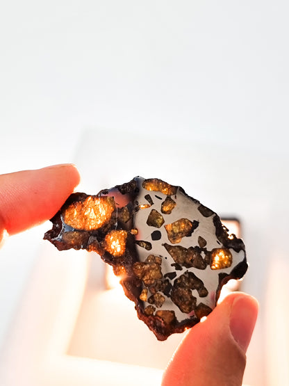 Imilac Pallasite meteorite, Chile. 15.54g