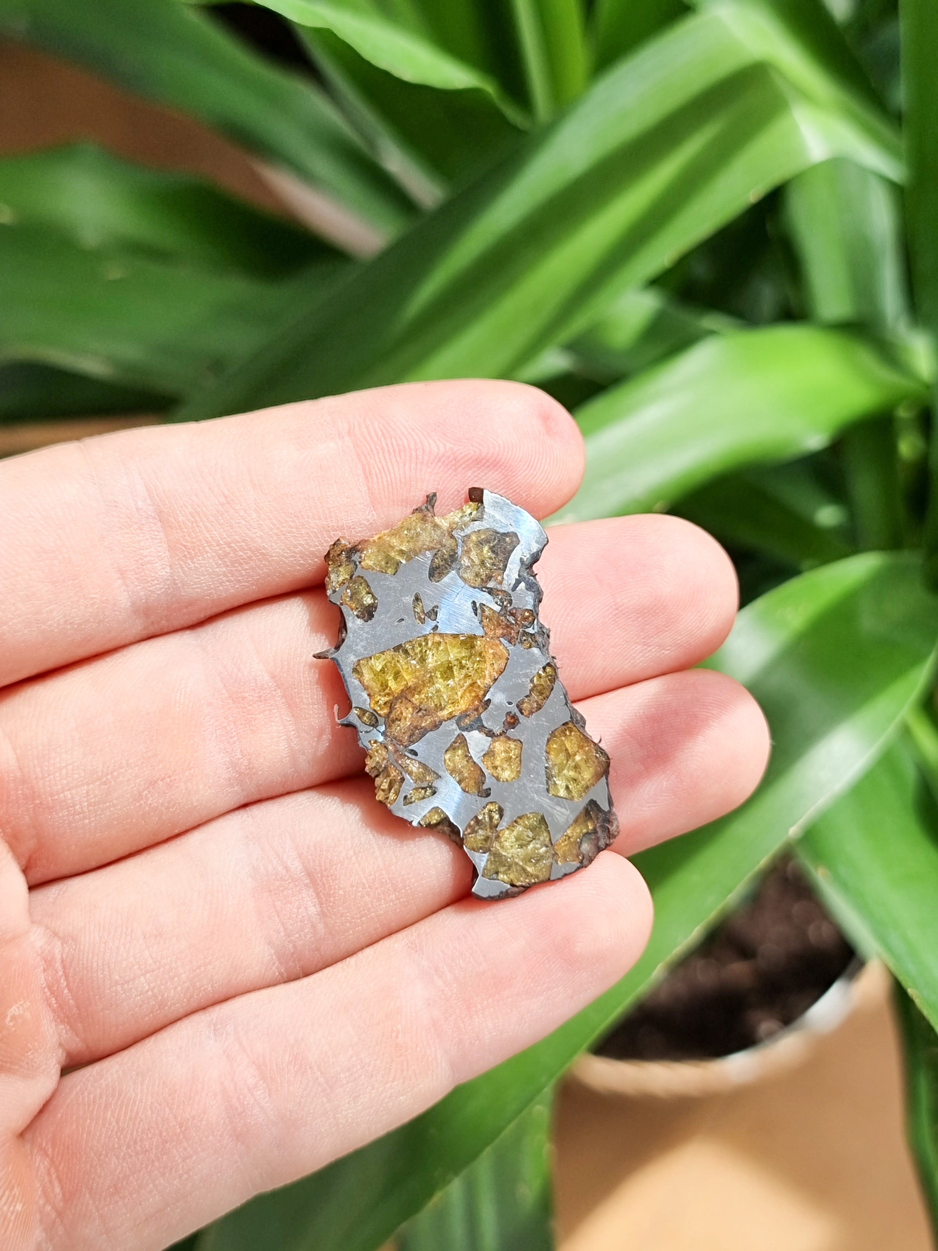 Imilac Pallasite meteorite, Chile. 9g