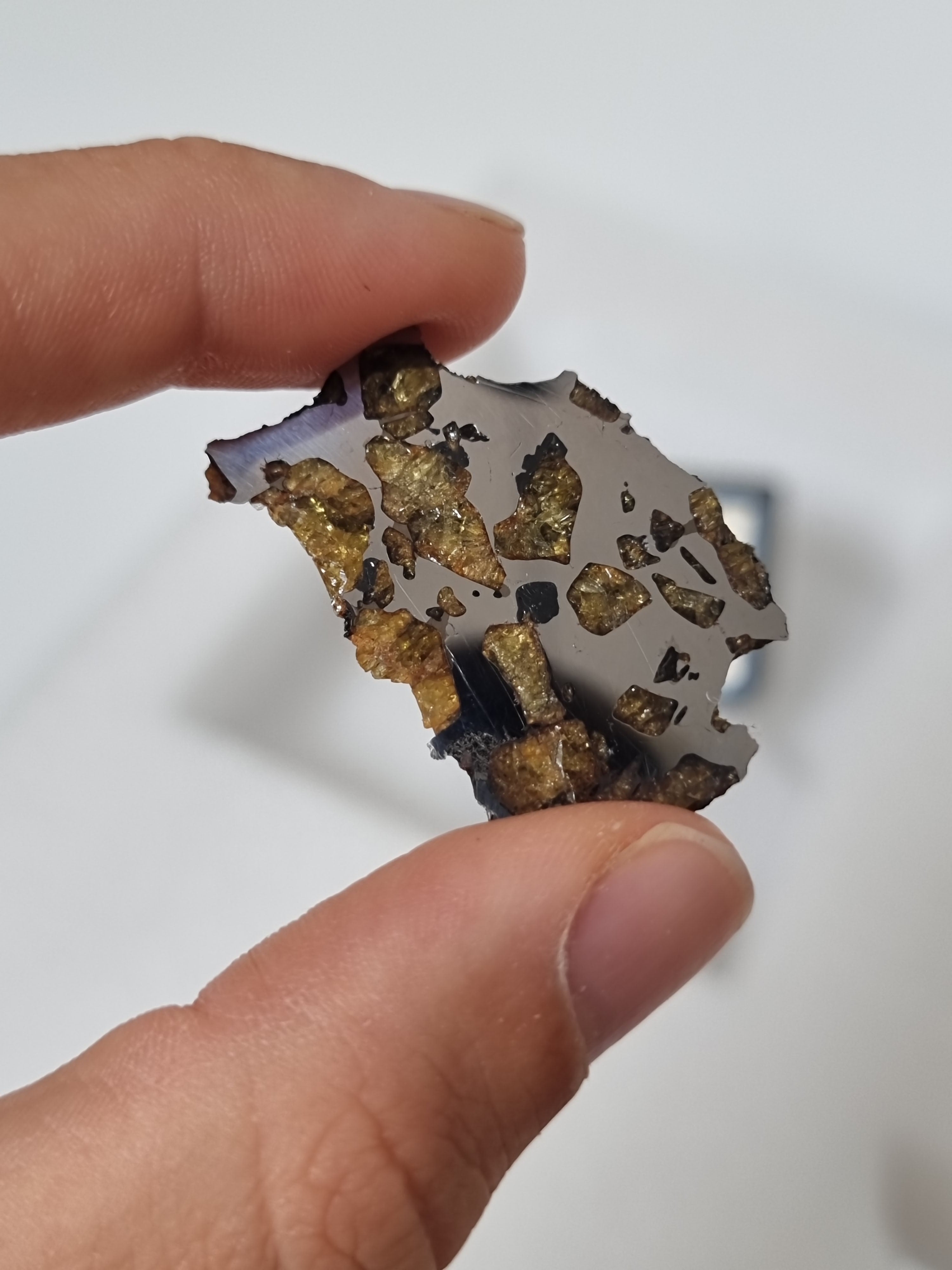 Imiliac Pallasite meteorite, Chile. 16.08g Endcut