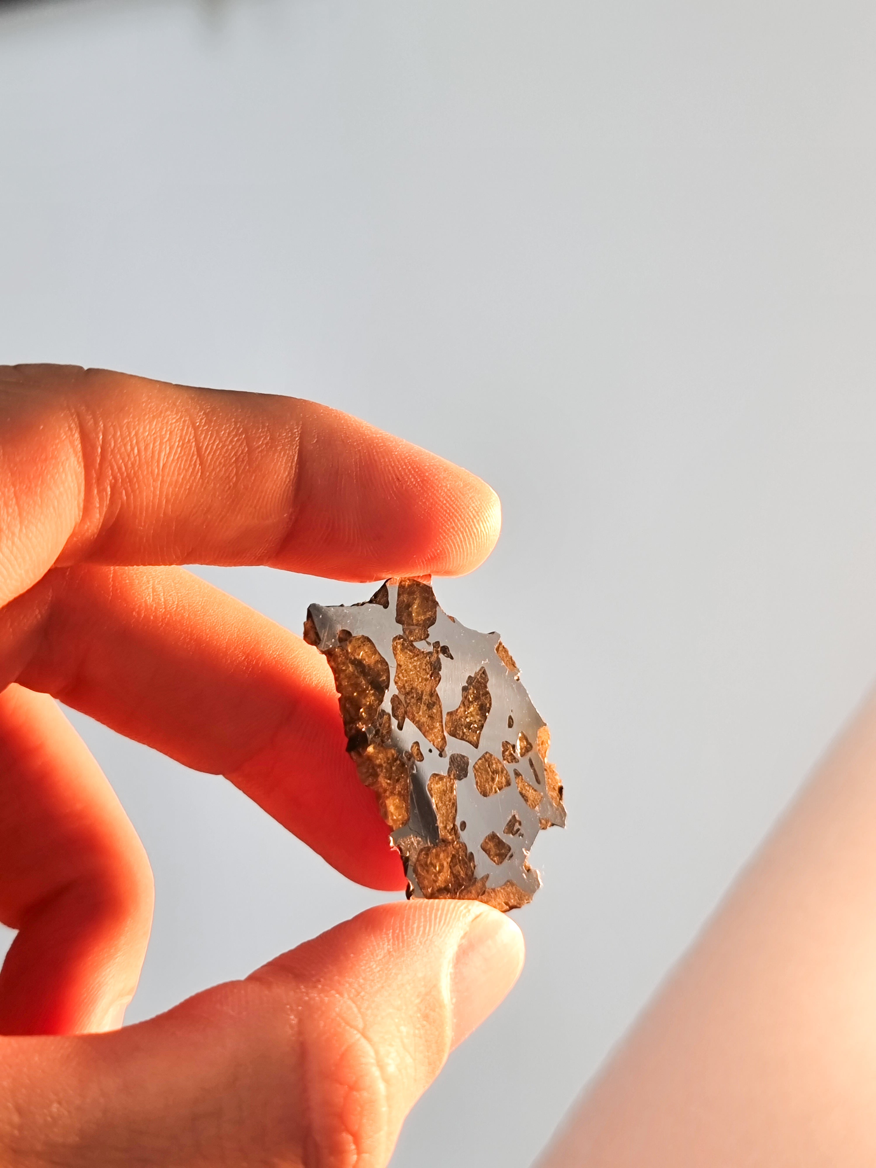 Imiliac Pallasite meteorite, Chile. 16.08g Endcut