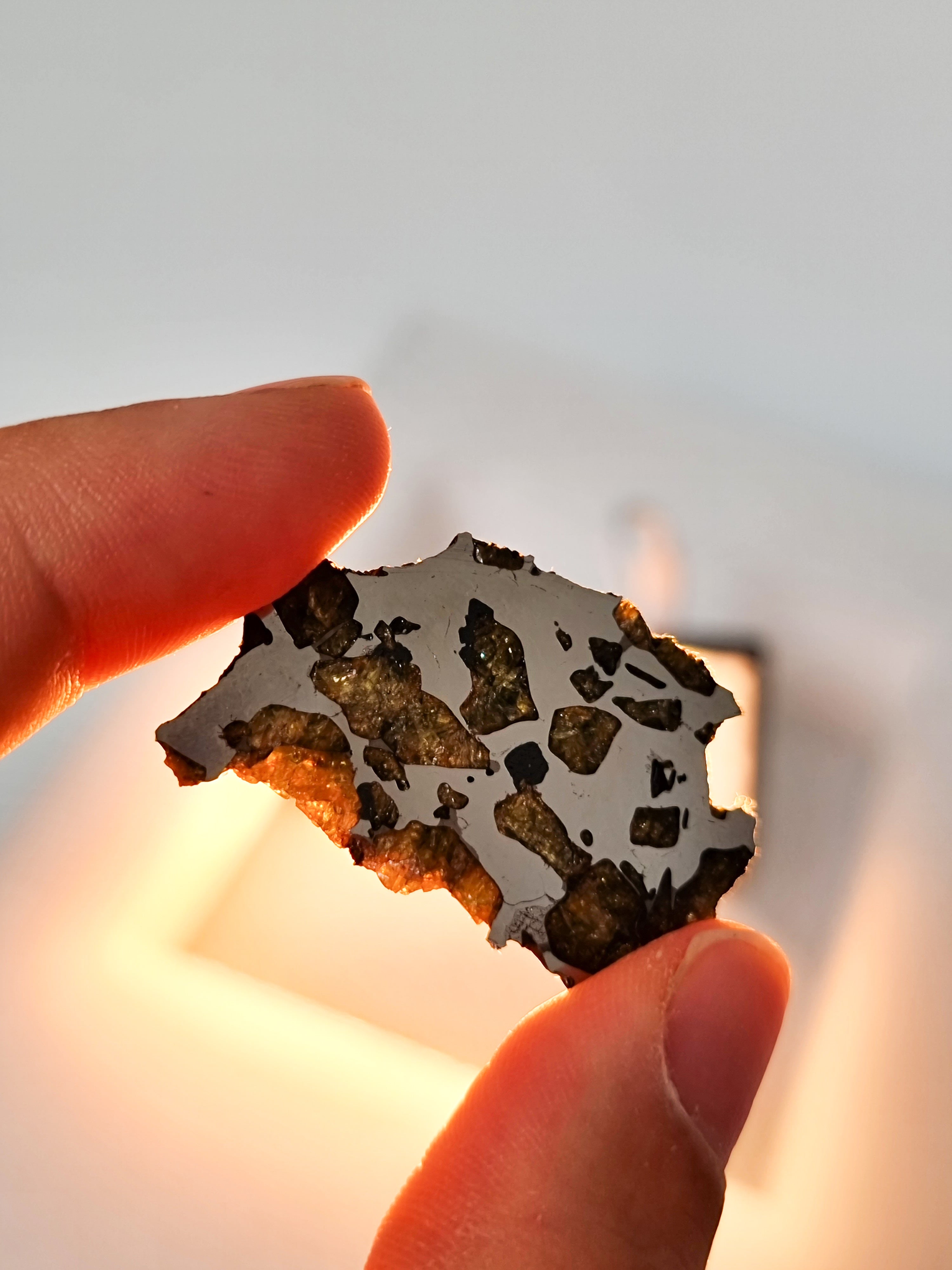 Imiliac Pallasite meteorite, Chile. 16.08g Endcut