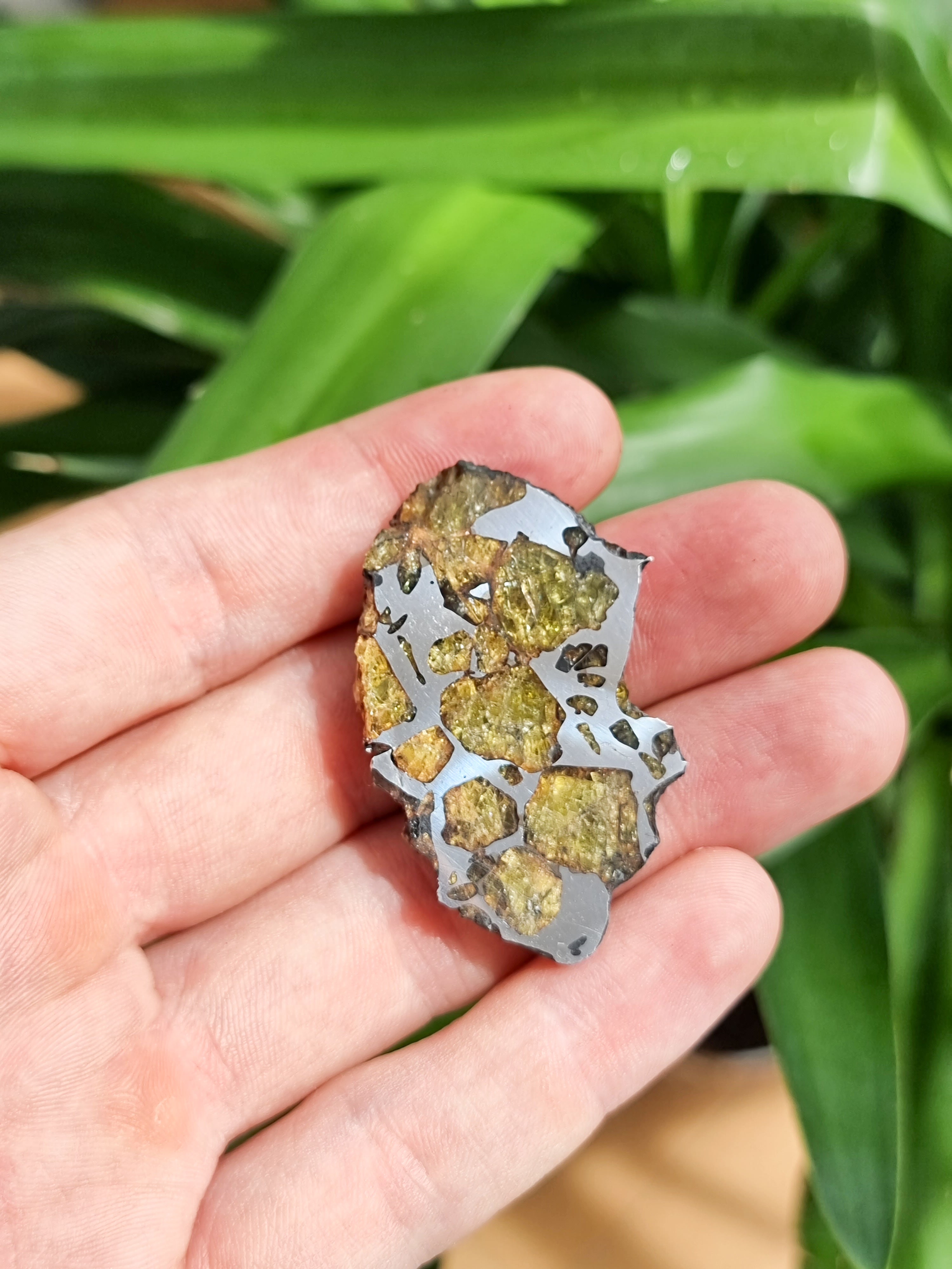 Imilac Pallasite meteorite, Chile. 27.95g Endcut.