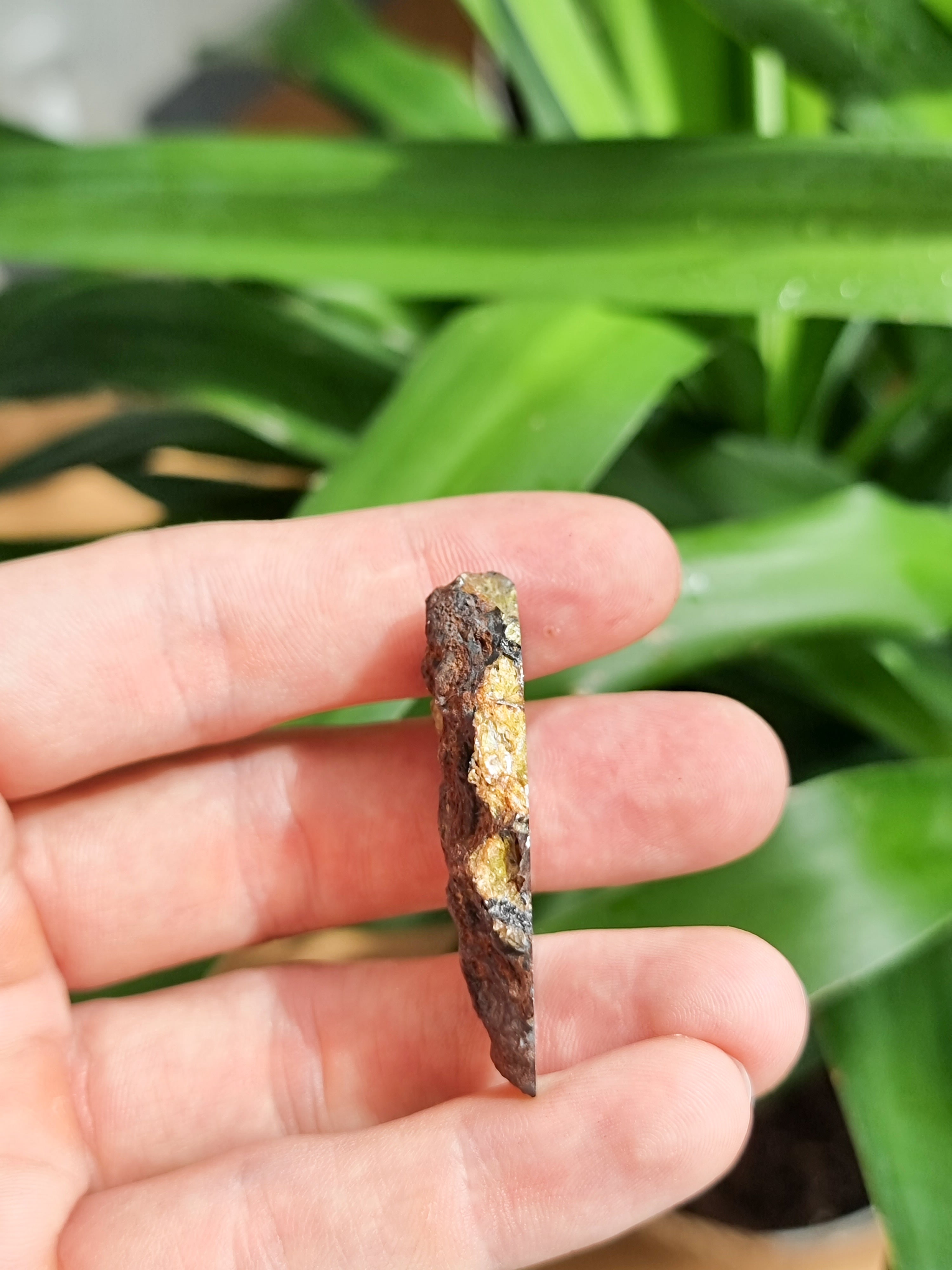 Imilac Pallasite meteorite, Chile. 27.95g Endcut.