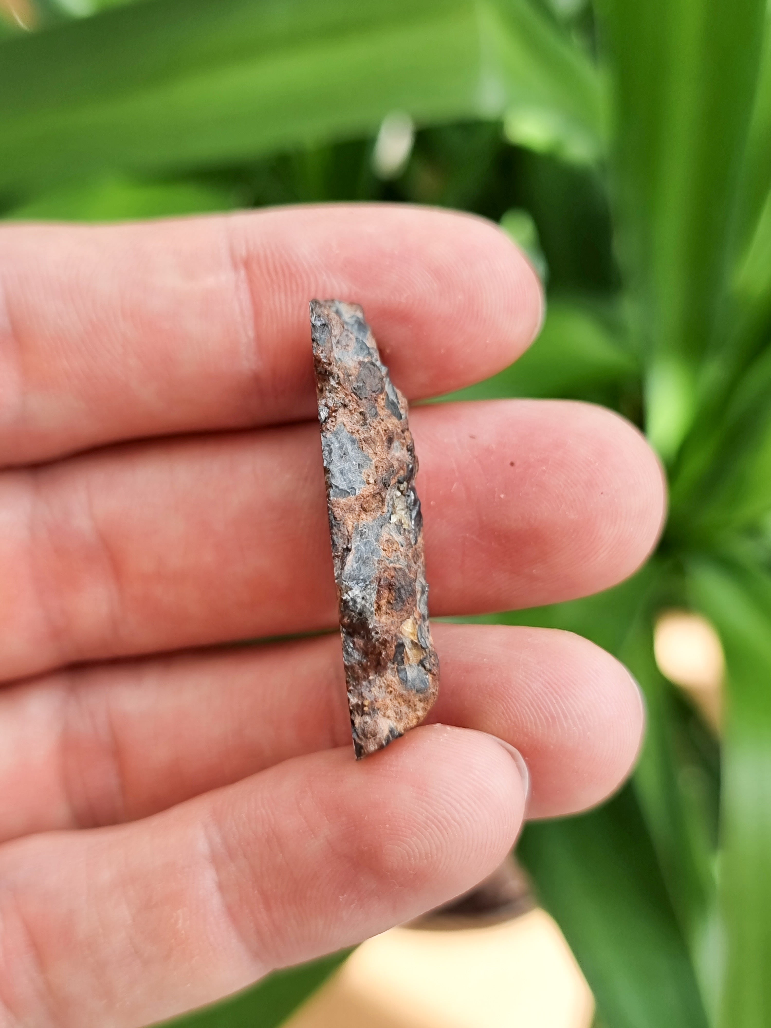 Imilac Pallasite meteorite, Chile. Endcut 13.84g