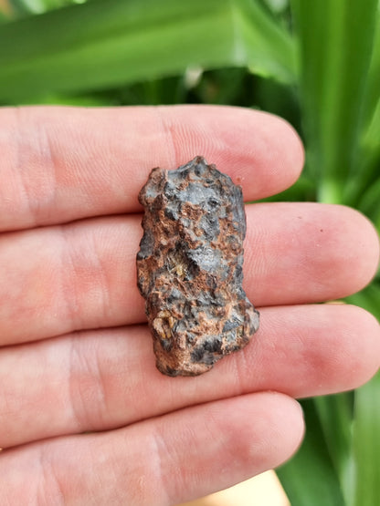 Imilac Pallasite meteorite, Chile. Endcut 13.84g