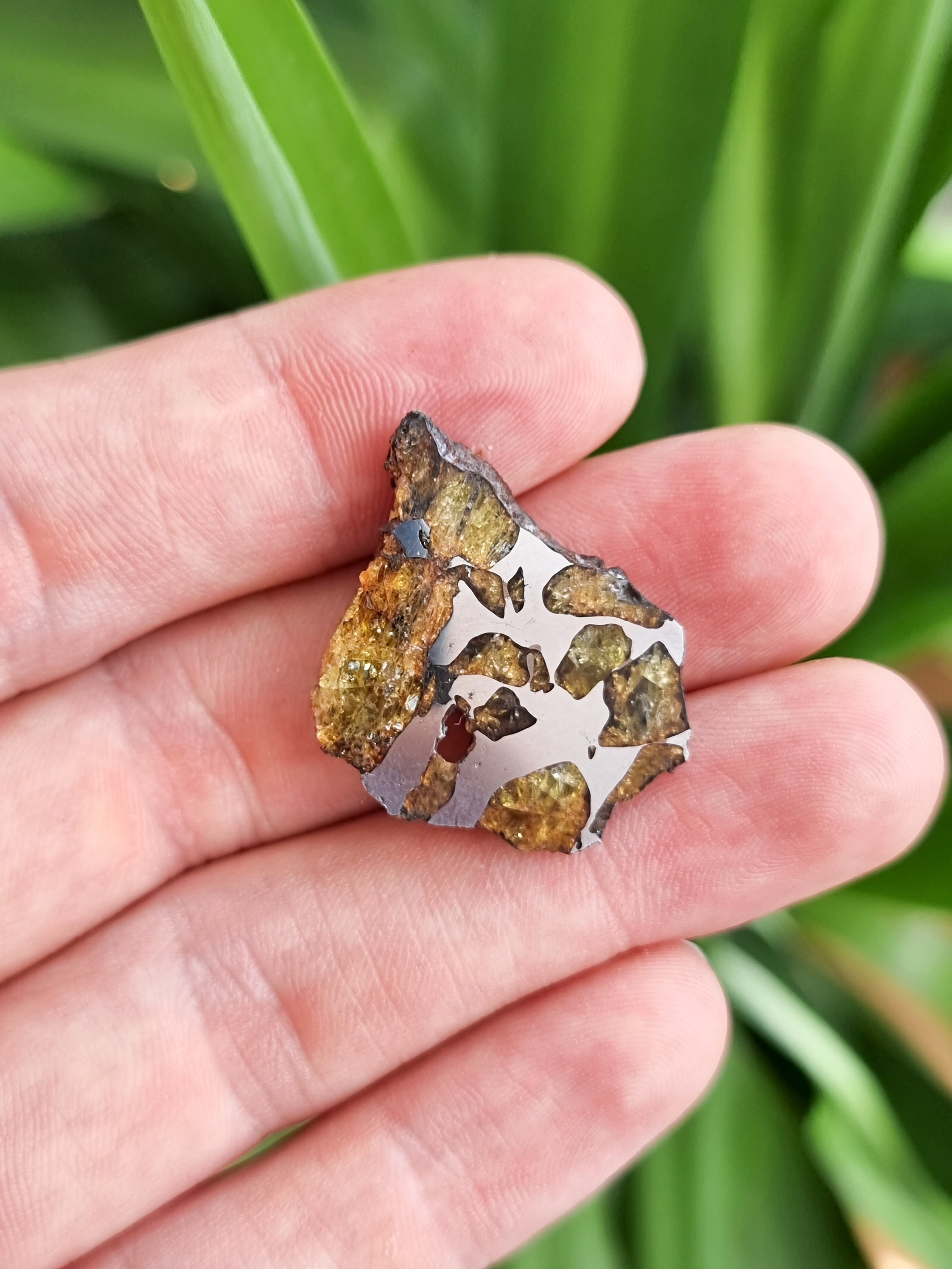 Imilac Pallasite meteorite, Chile. 9.14g Endcut