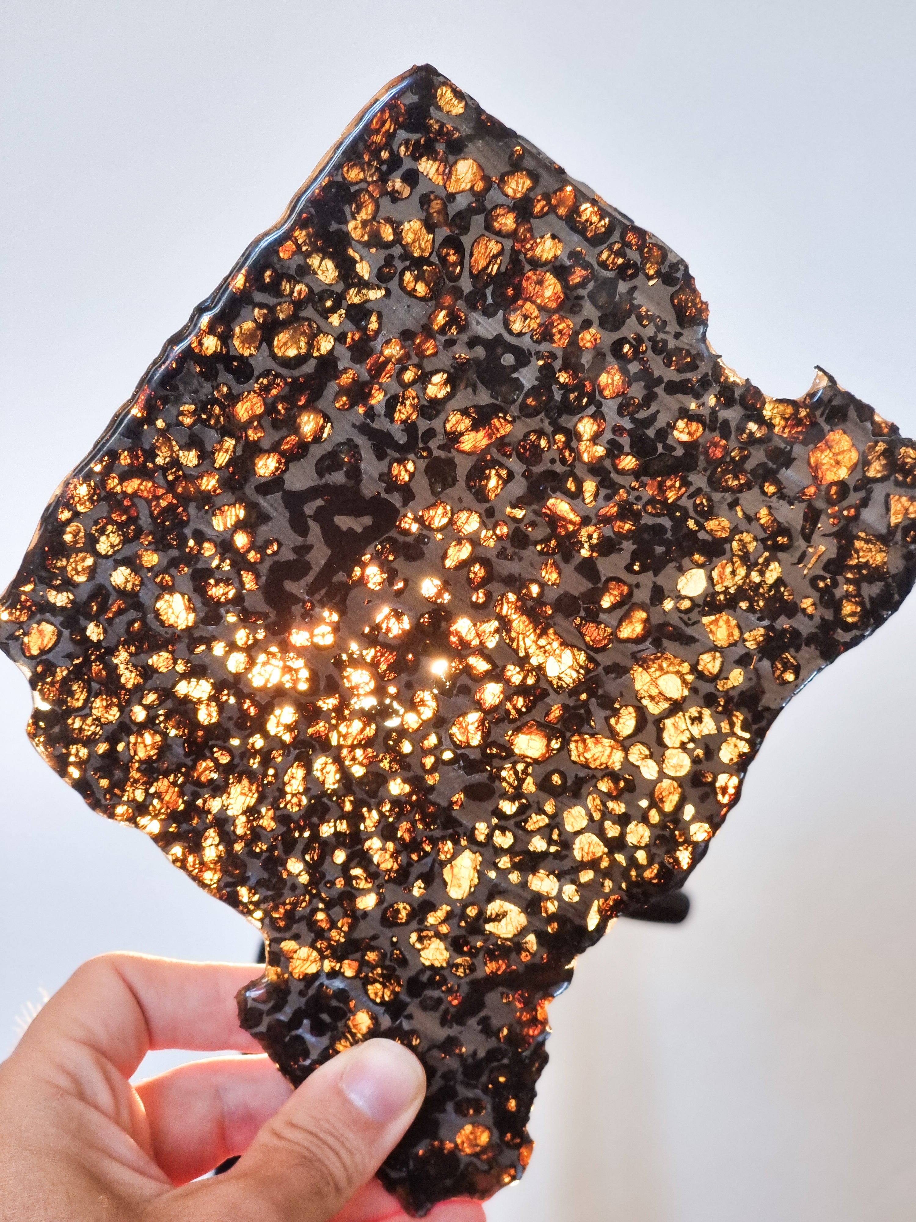 Sericho Pallasite meteorite, Kenya. 284grams slice.